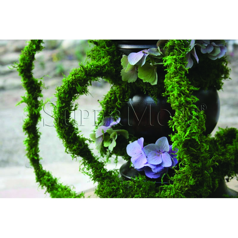 SuperMoss 5-6' Bag Preserved Thick Moss Vine — priced per each; minimum 12; multiples of 12