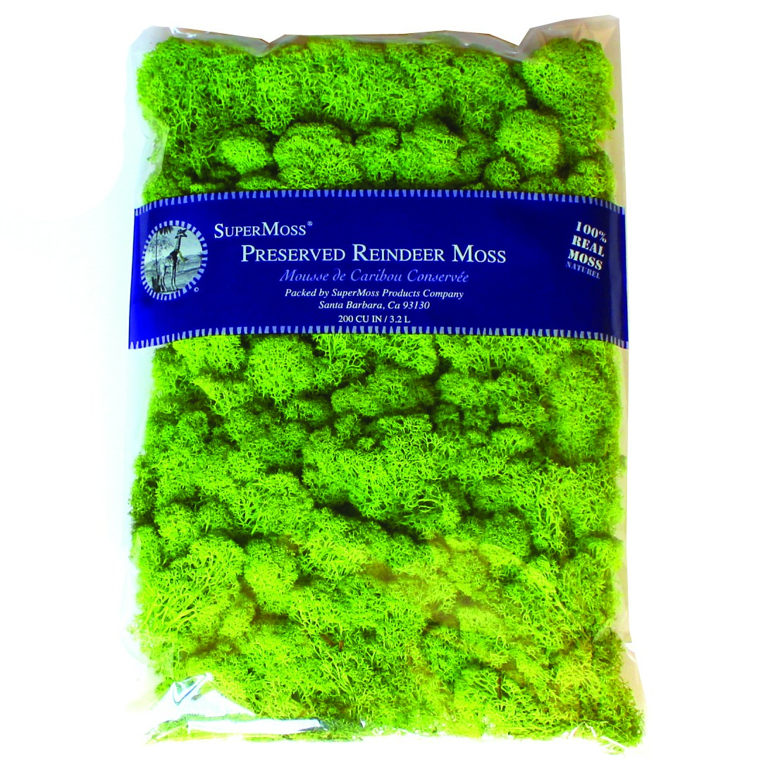 SuperMoss 8oz Reindeer Moss Chartreuse