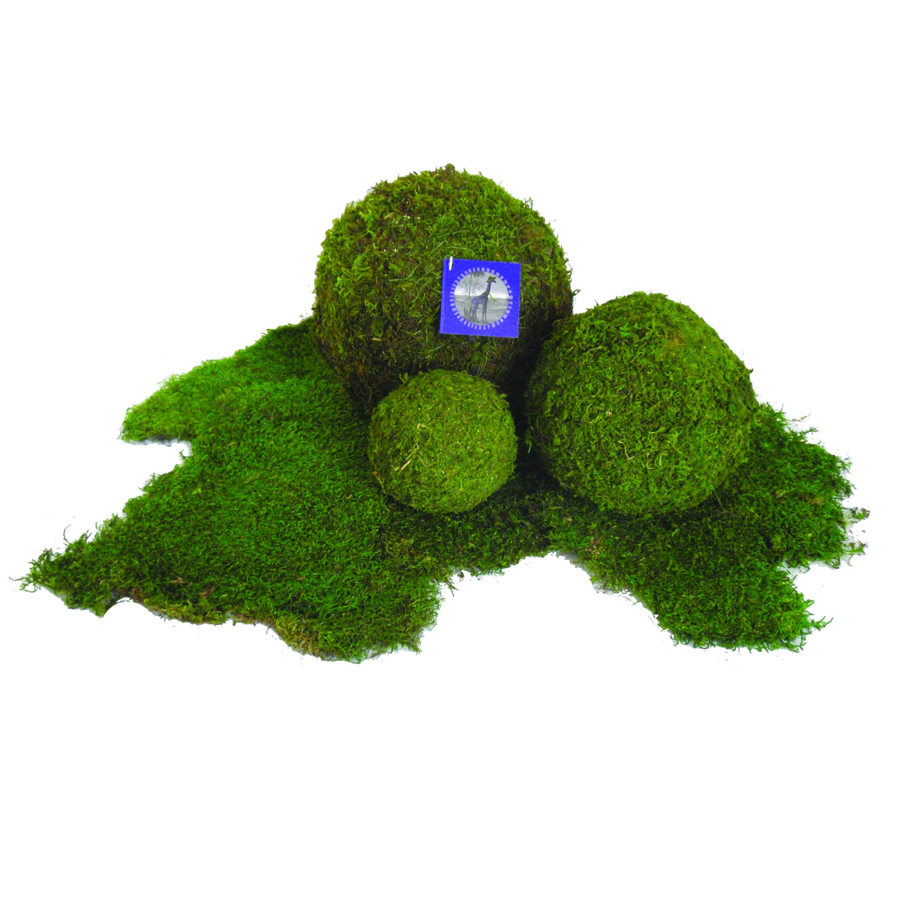 SuperMoss 4" Bulk Moss Ball — priced per each; minimum 36; multiples of 36