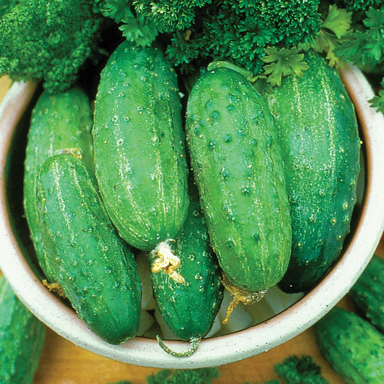 Cucumber, Smr58 1lb