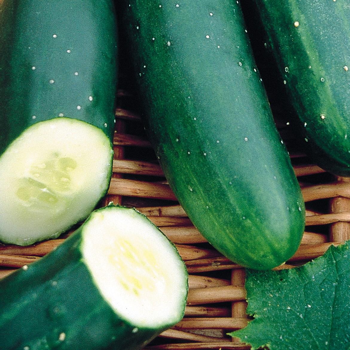 Cucumber, Marketmore 76 1 lb