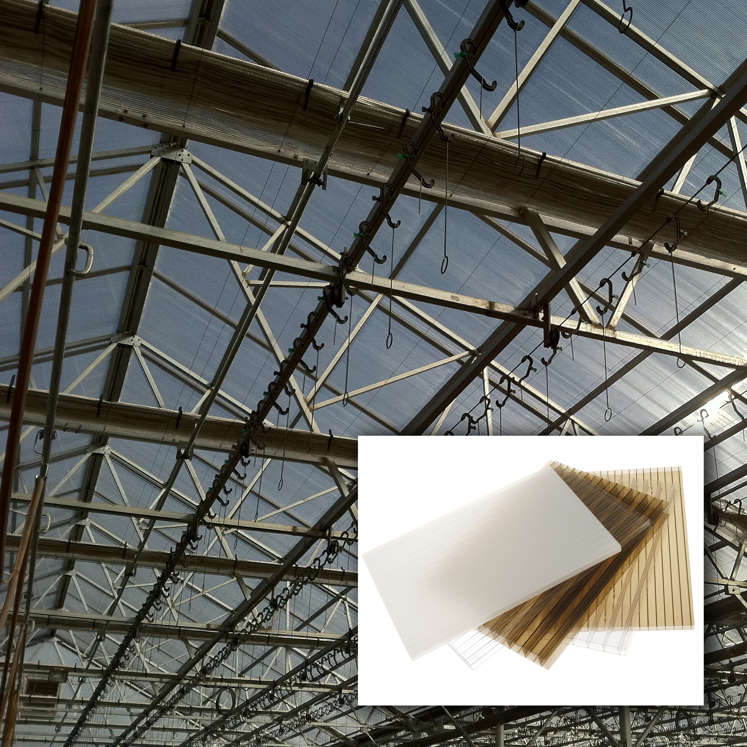 GRTK 8MM 71.25INX20FT TWINWALL CLR THERMAGLASS