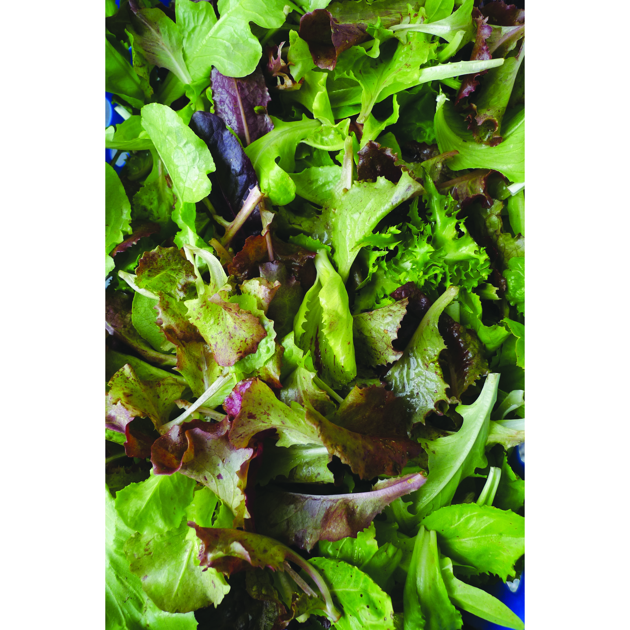 Mixed Greens 1oz — priced per each; minimum 5; multiples of 5