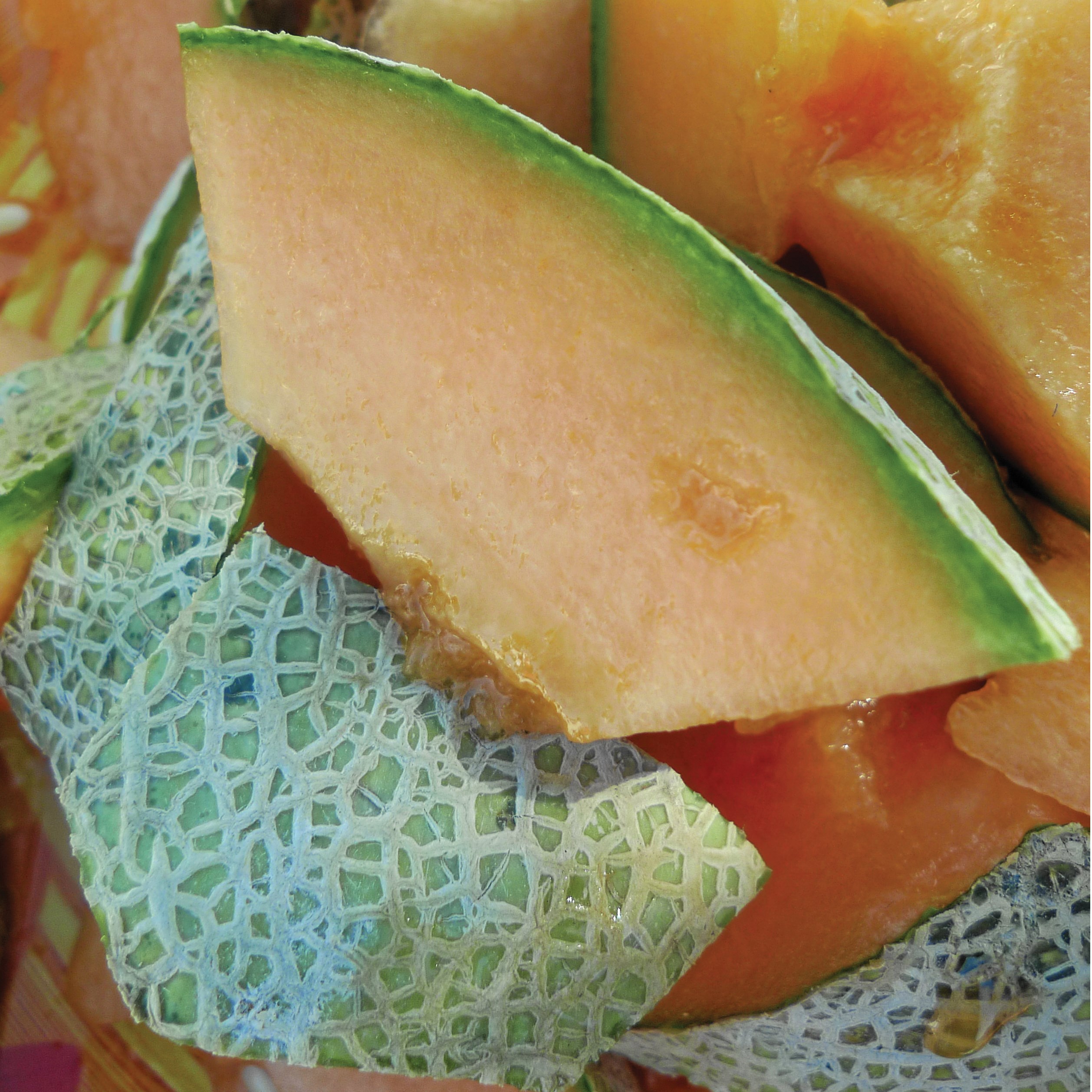 Cantaloupe, Rocky Ford Green Flesh 1/2lb