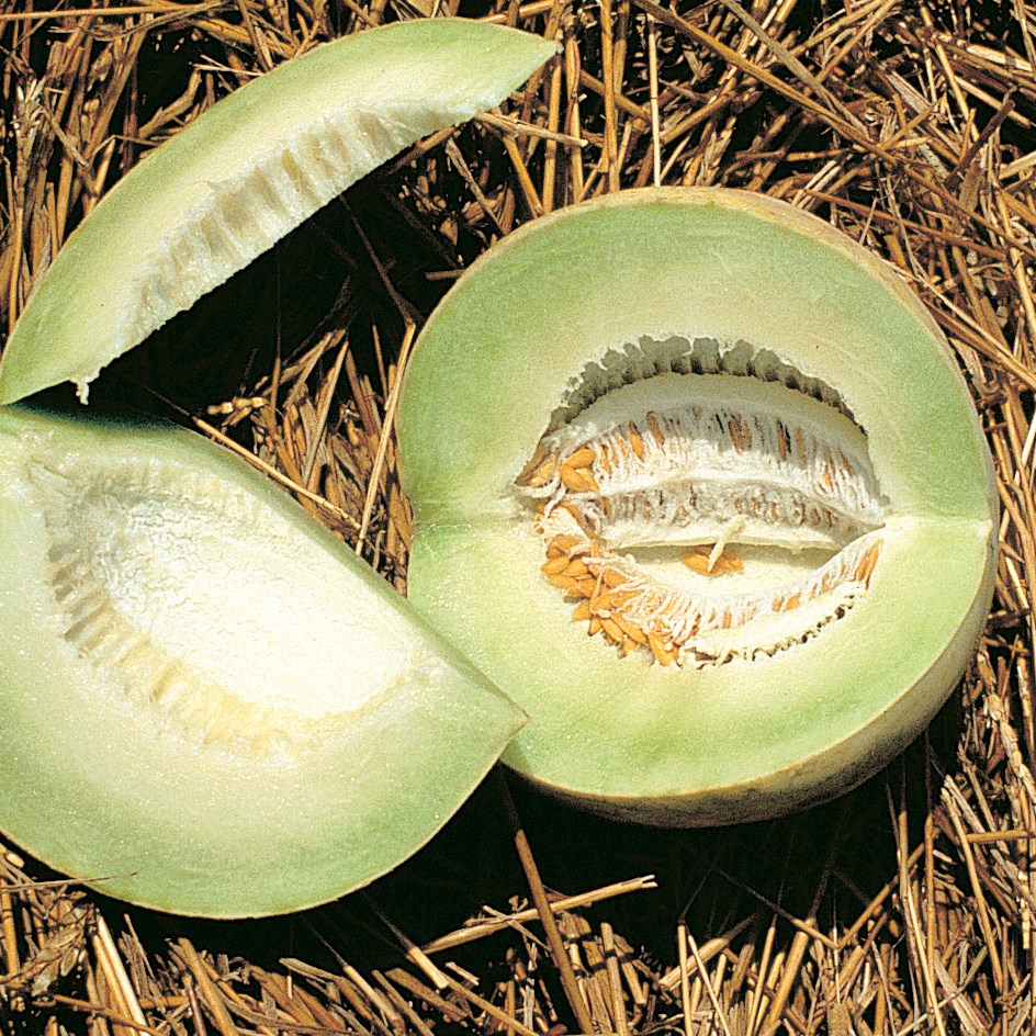 Cantaloupe, Honeydew 1/2lb