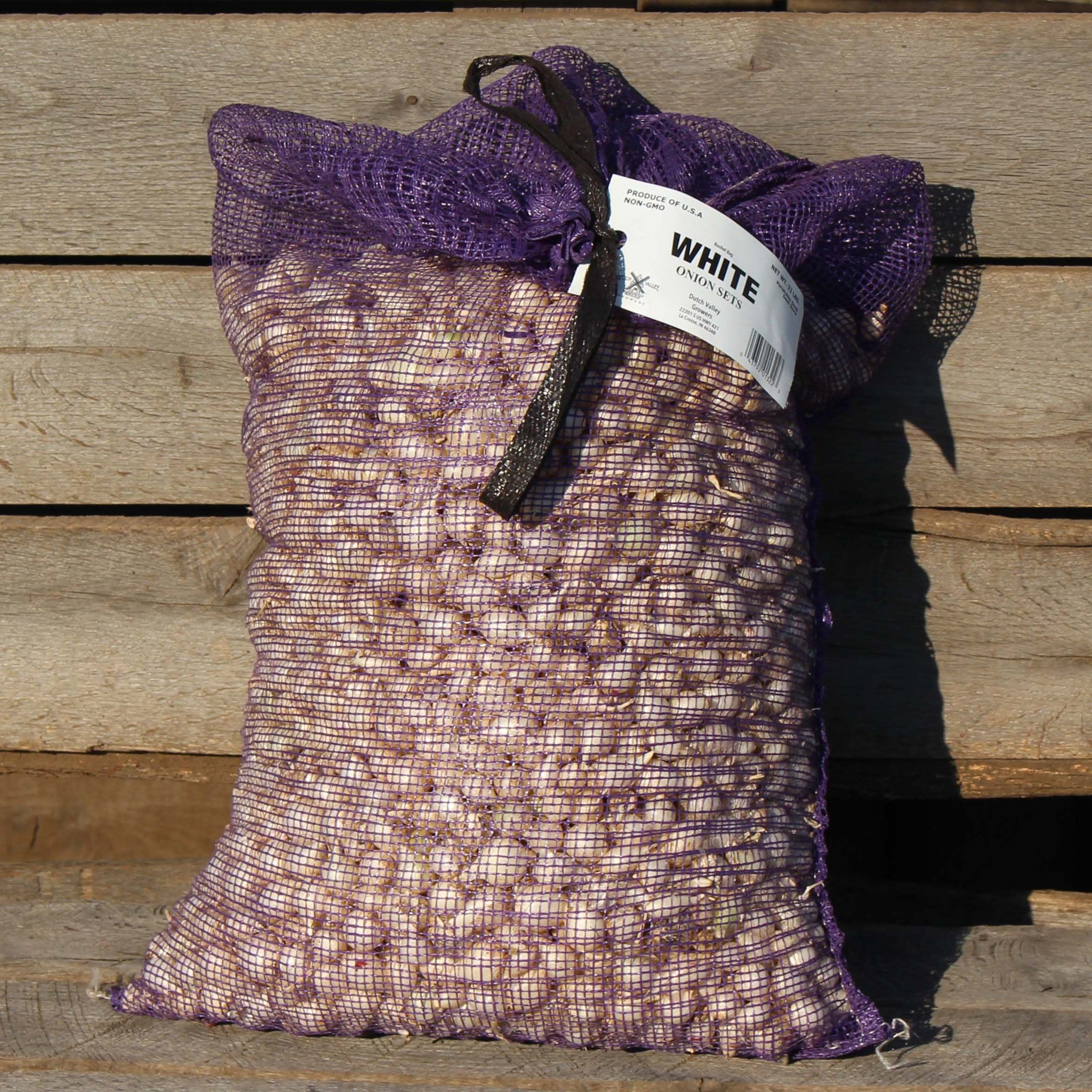 DVG Onion Sets White BU 32#