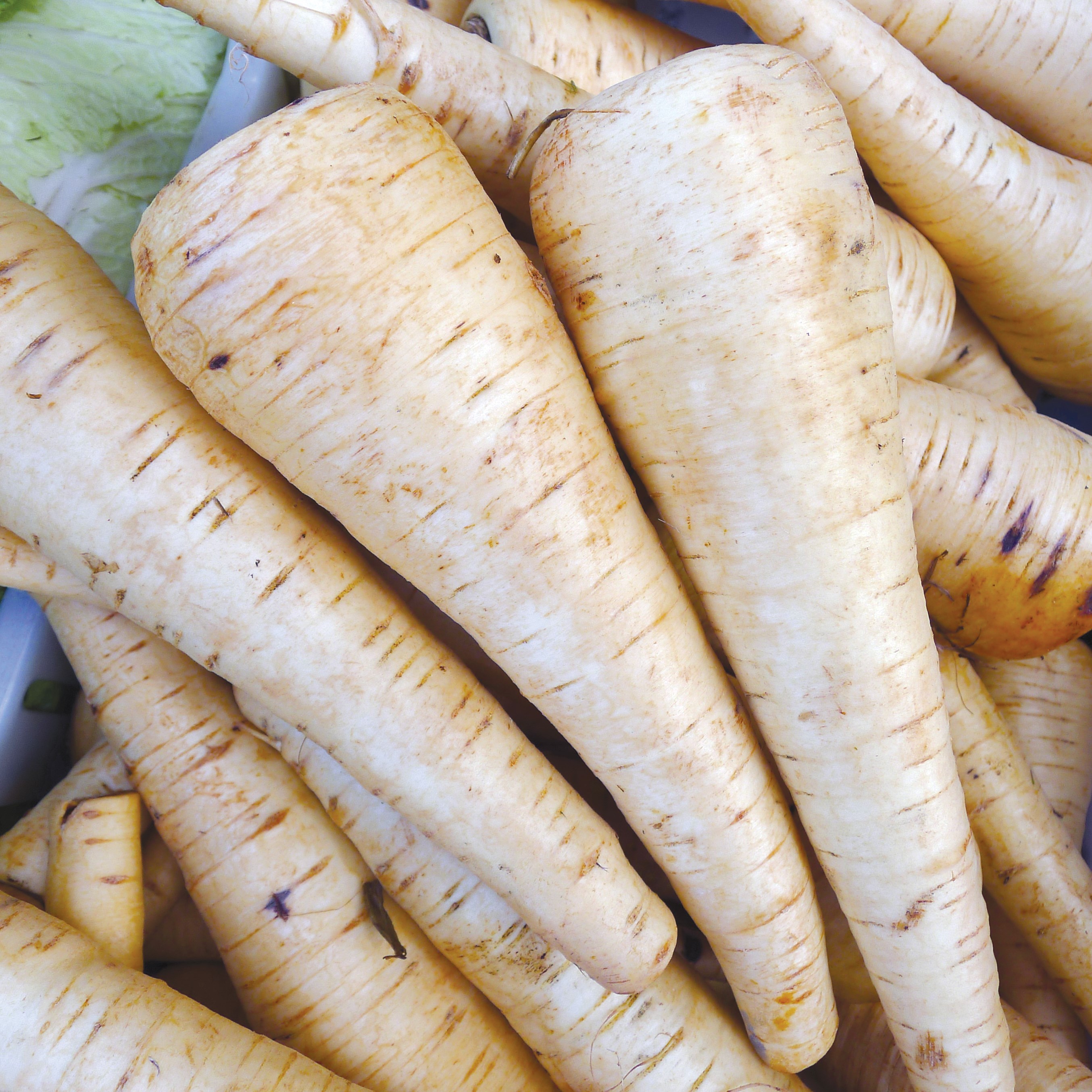 Parsnips, Harris Model 1lb