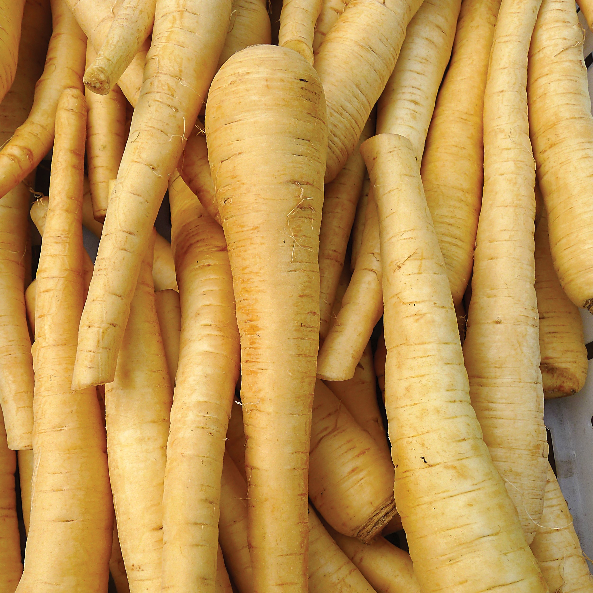 Parsnips, Hollow Crown 1/2oz