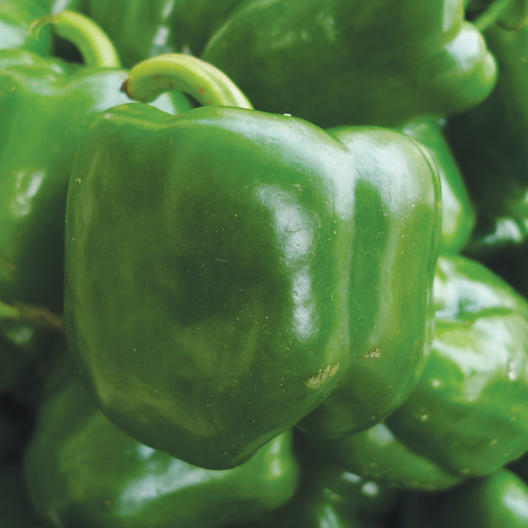 Peppers, California Wonder 1/2oz