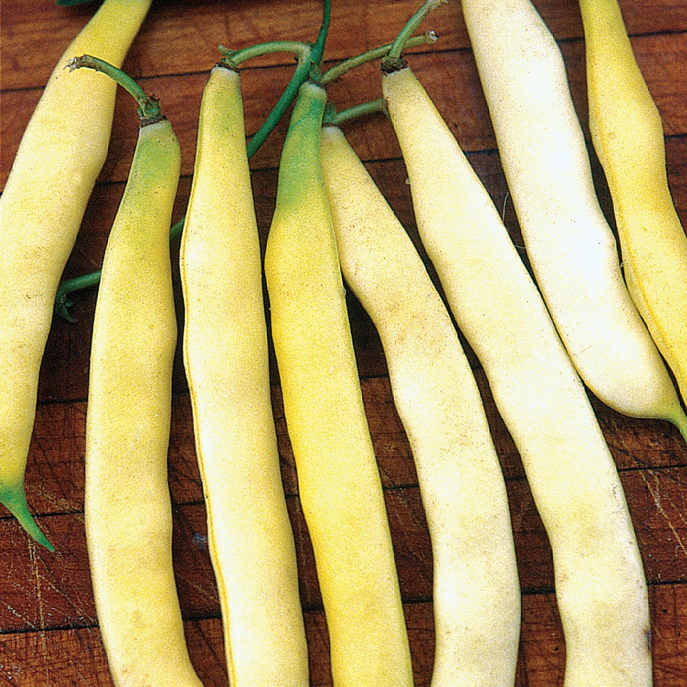 Beans, Topnotch Golden Wax 1/2lb