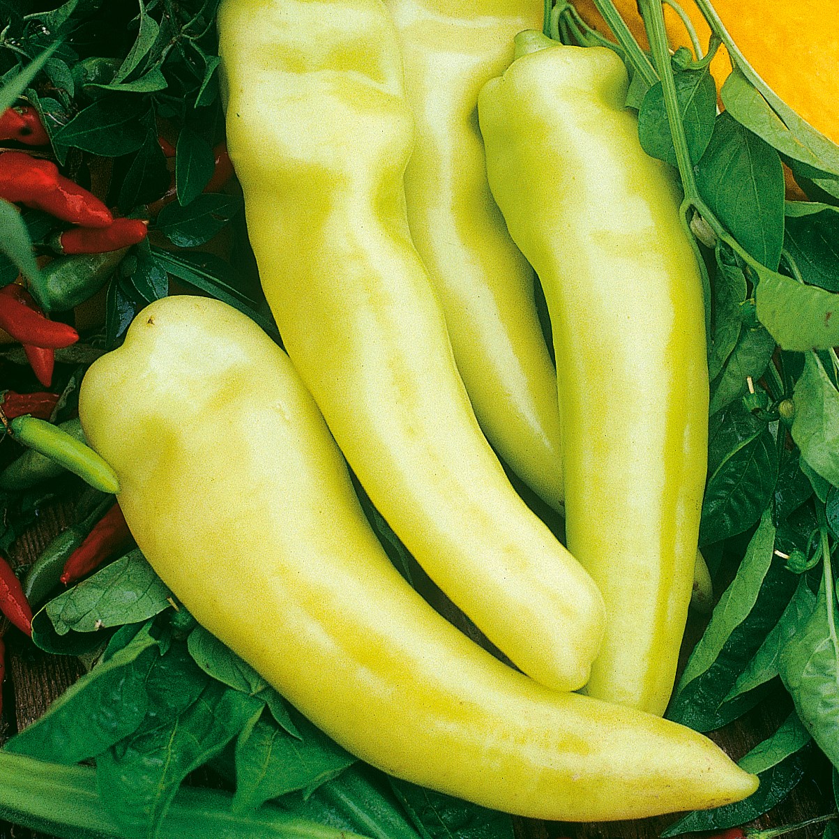 Peppers, Sweet Banana 1/2oz
