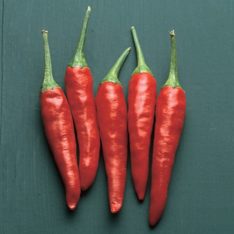 Peppers, Super Chili Hybrid - 100 Sd Ct