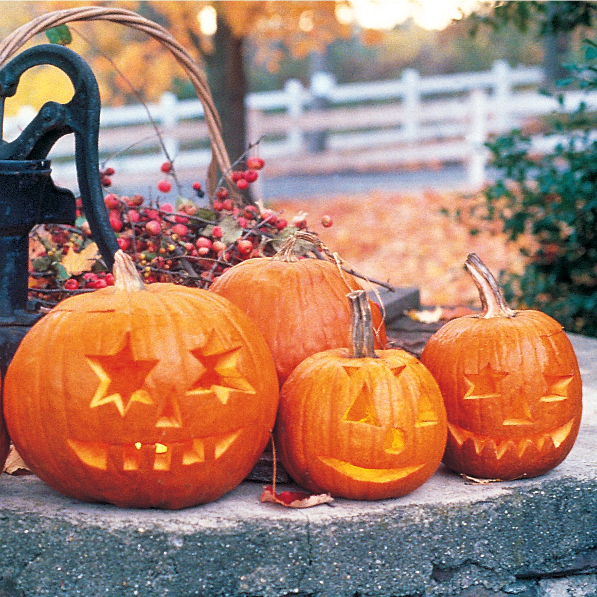 Pumpkin, Jack O Lantern 1/2lb
