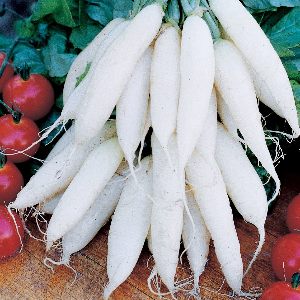 Radish, Long White Icicle 1/2oz