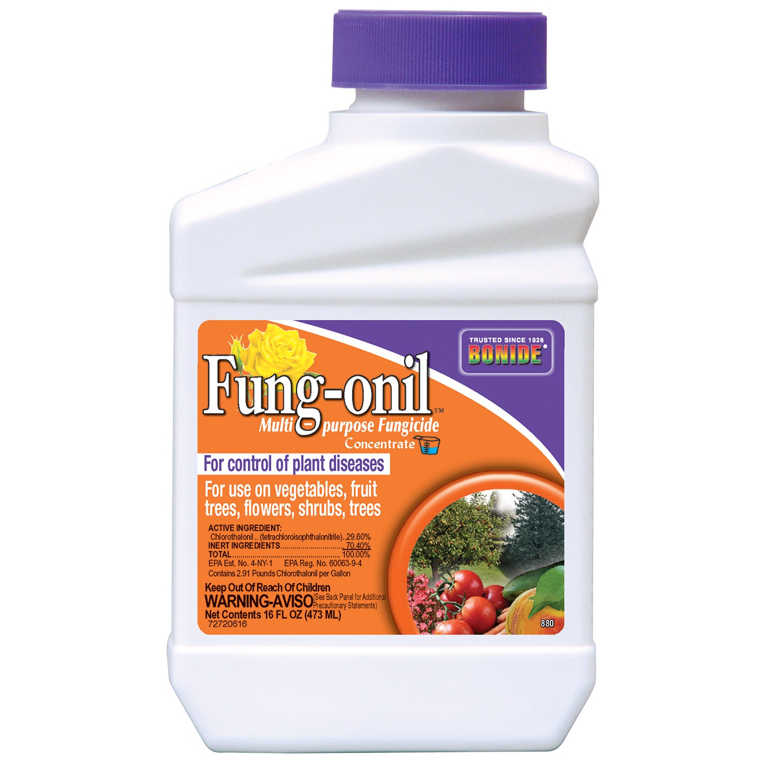 Bonide Pt Liquid Fungonil w/ Daconil Fungicide — priced per each; minimum 12; multiples of 12