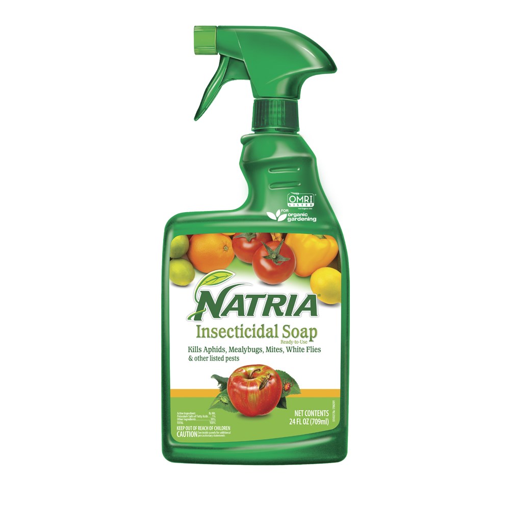 Natria 24oz Insecticidal Soap RTU (Keywords: Bayer ) — priced per each; minimum 8; multiples of 8