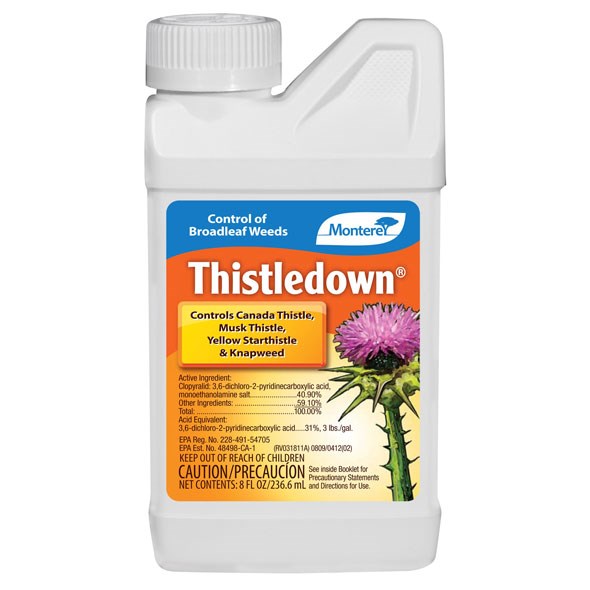 Monterey.5pt Thistledown — priced per each; minimum 6; multiples of 6