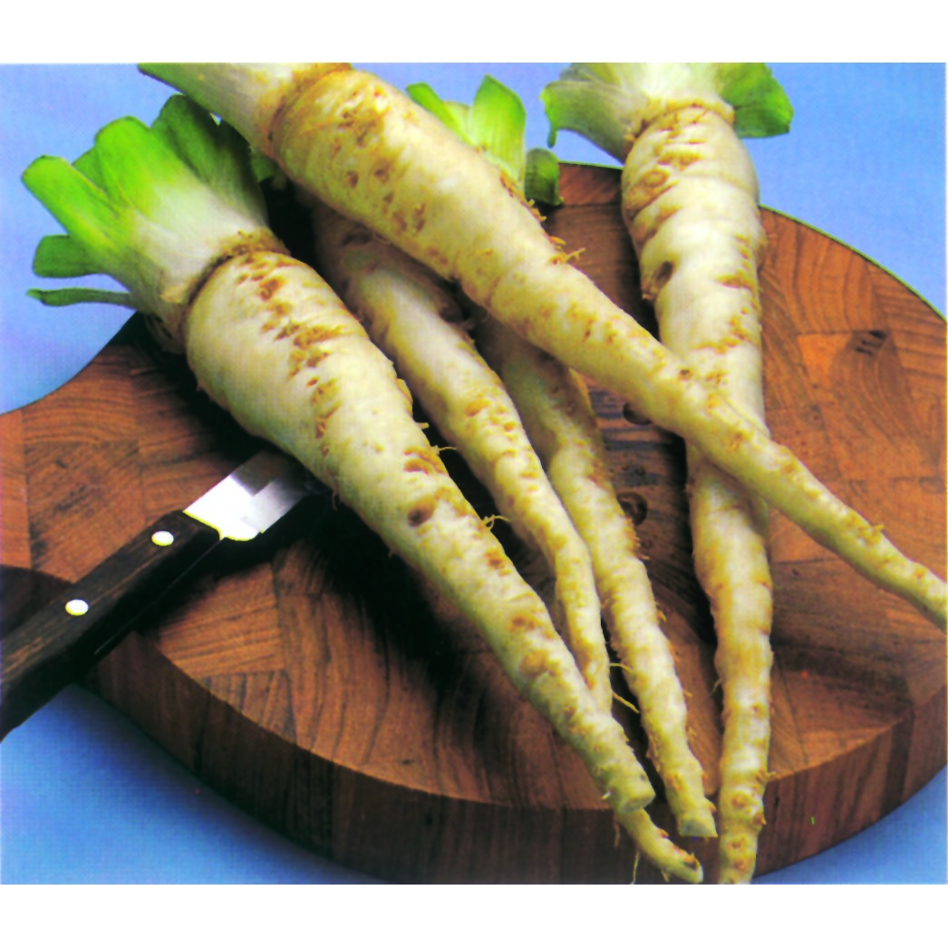 Salsify, Mammoth Island 1/2oz