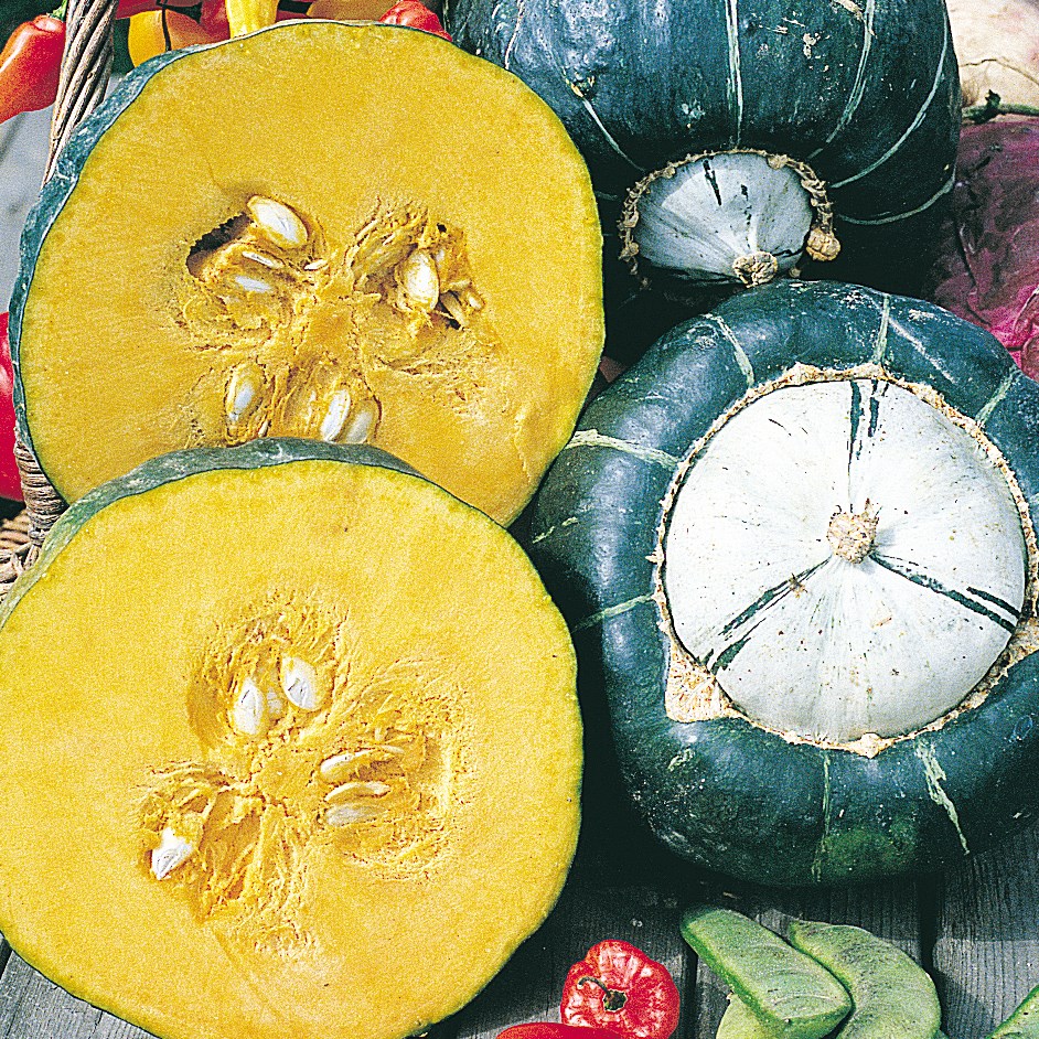Squash, Burgess Buttercup 1/2lb