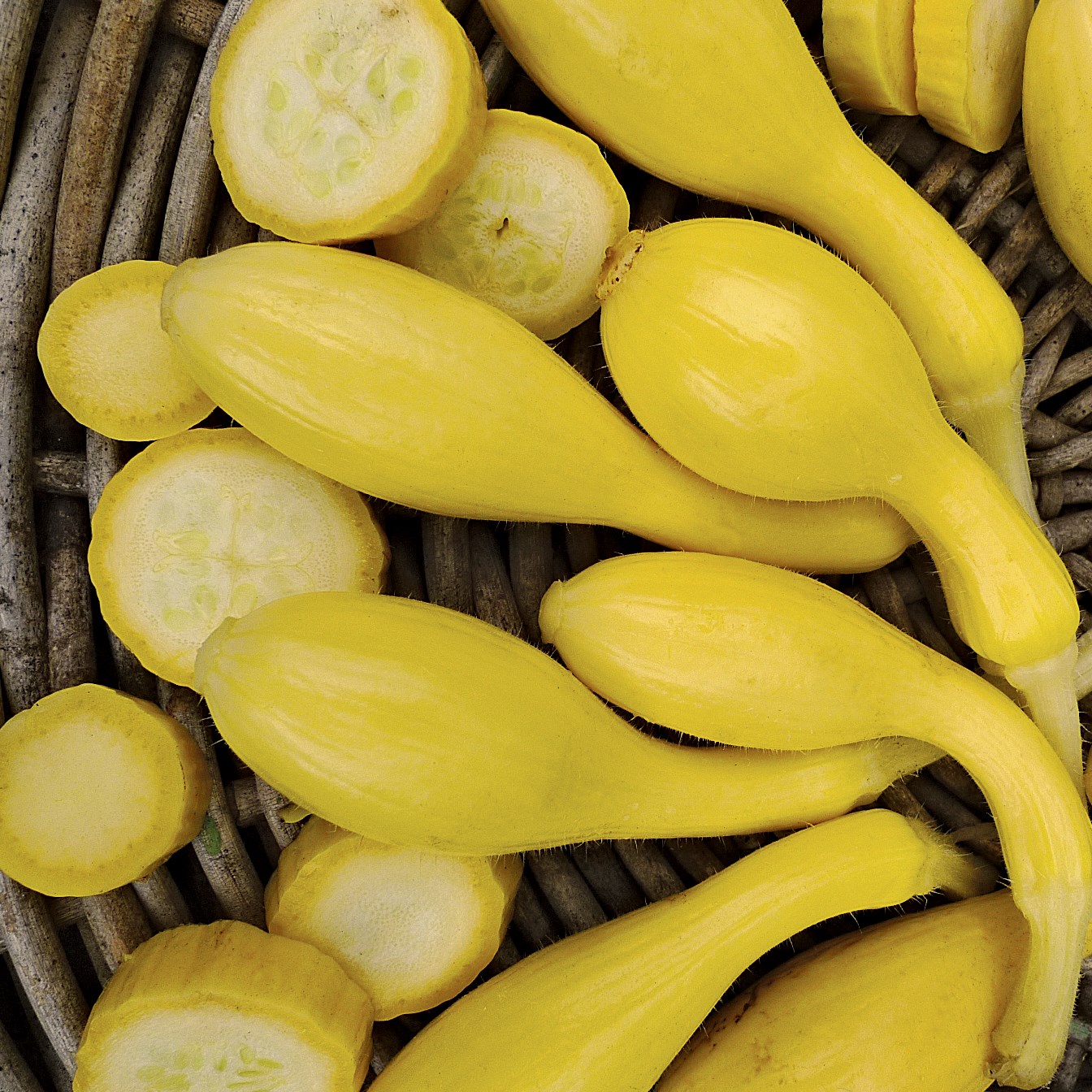 Squash, Summer Crookneck 1/2lb