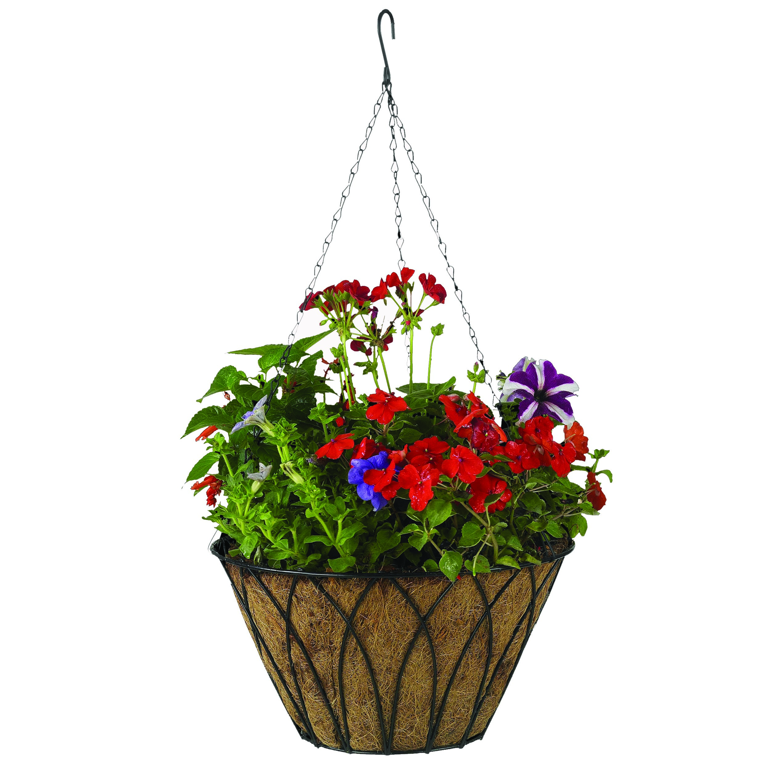 Austram 14" Lotus Planter Black with Chain