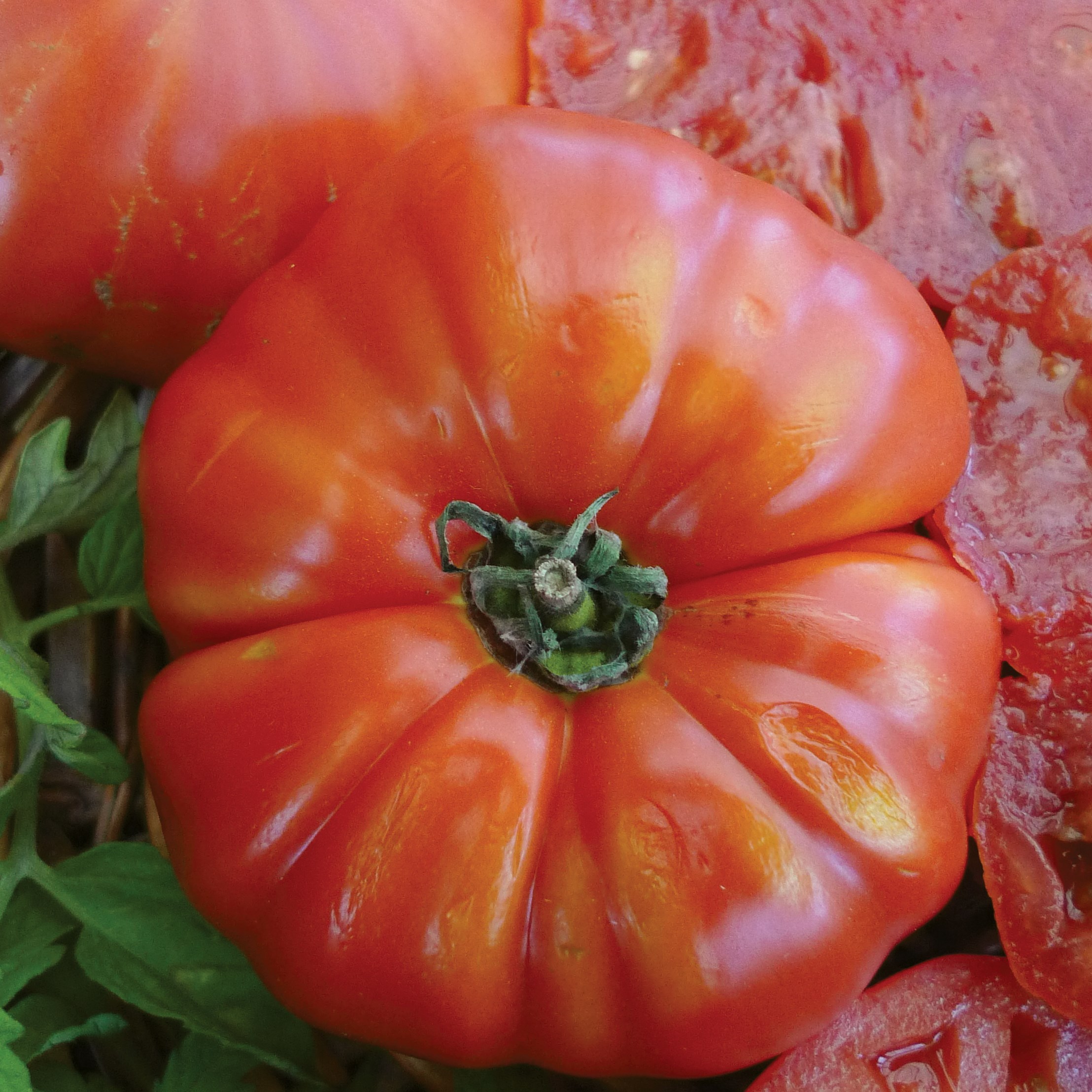 Tomato, Beefsteak 1/2oz