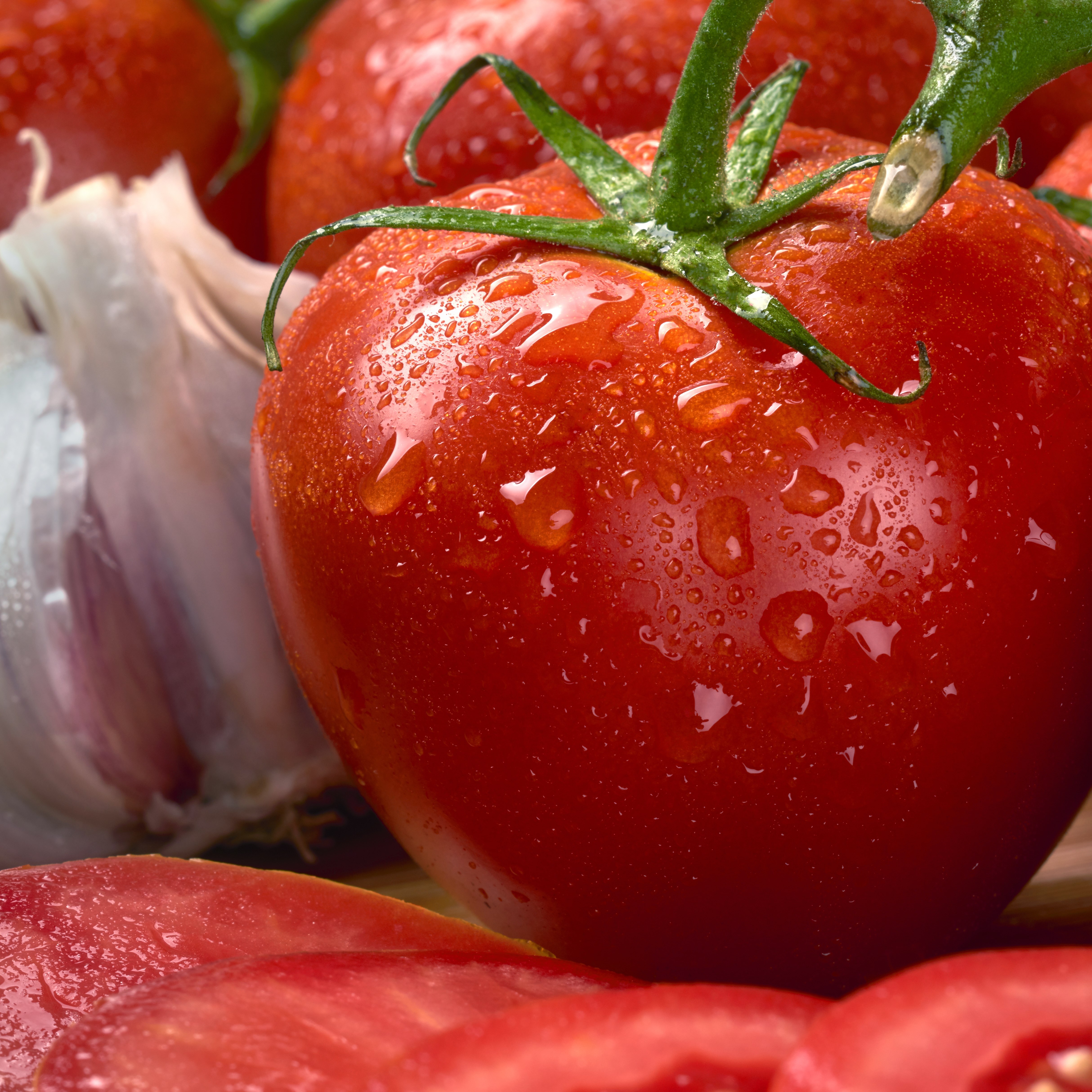 Tomato, Homestead 1/2oz