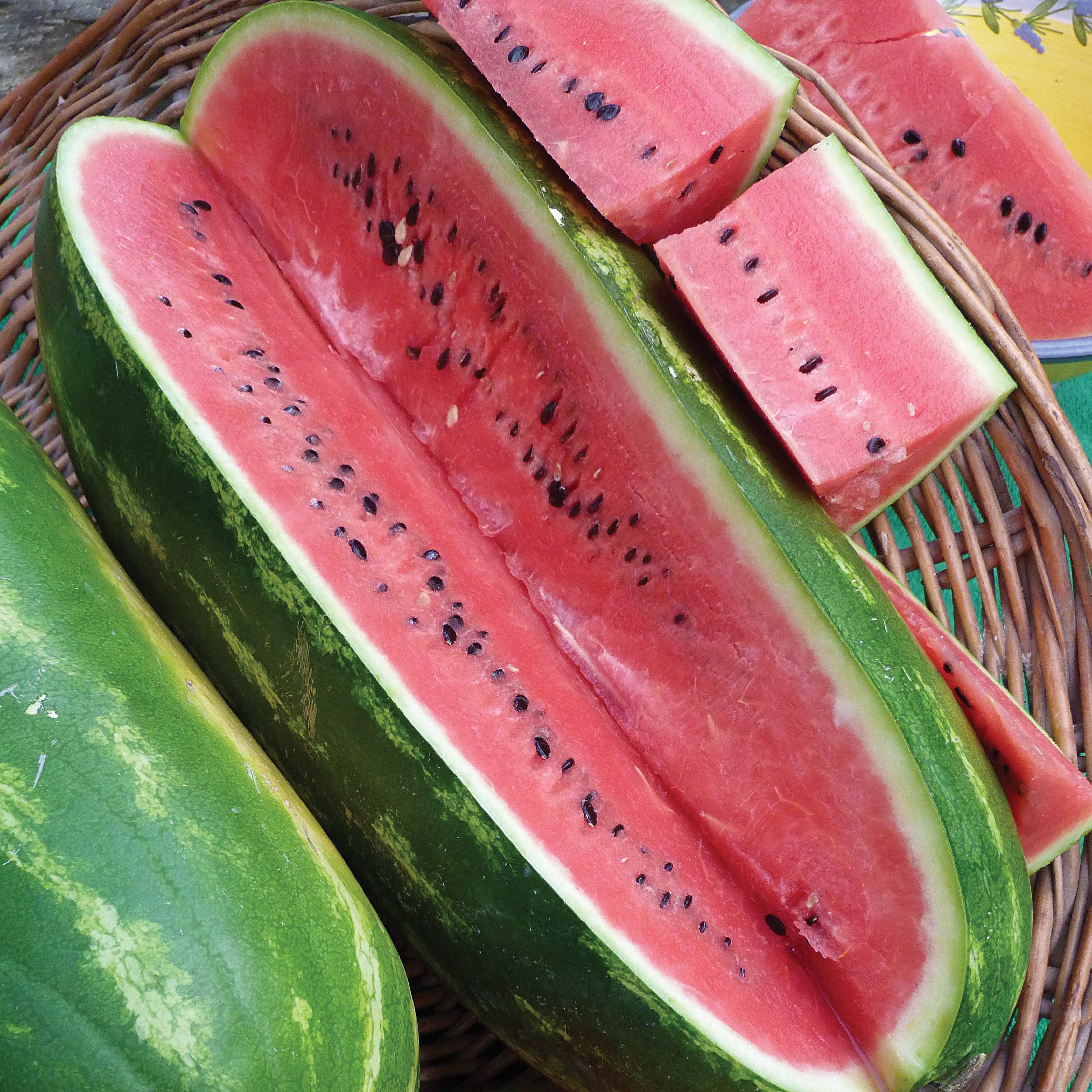 Watermelon, Jubilee 1/2oz