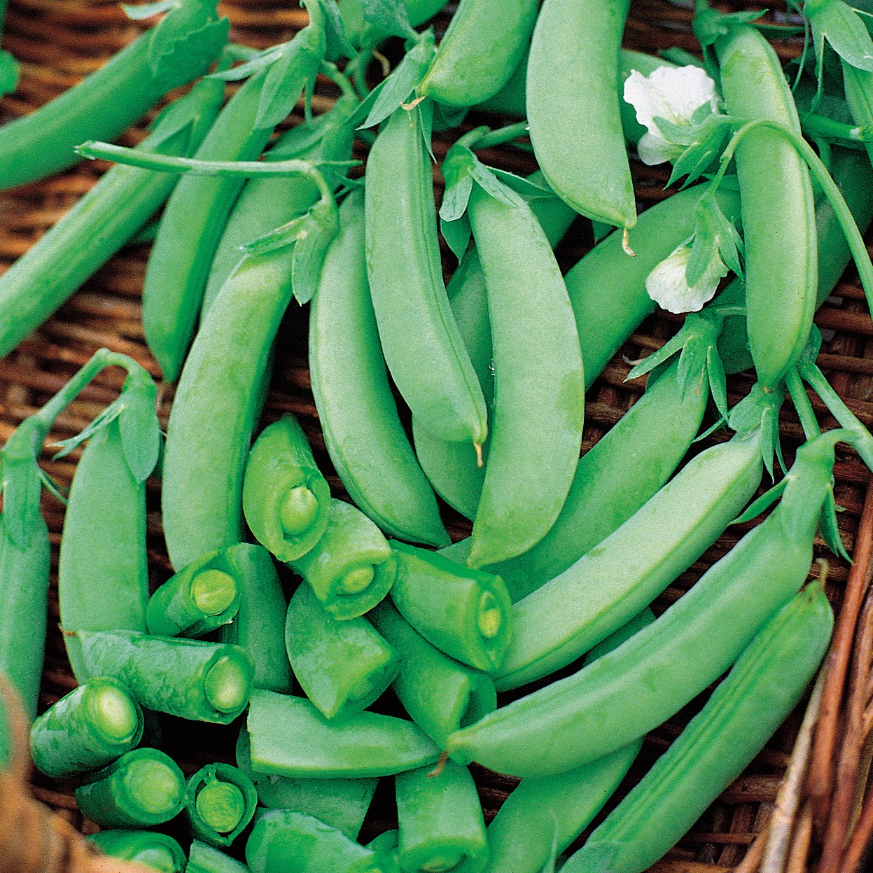Peas, Sugar Snap 1/2lb
