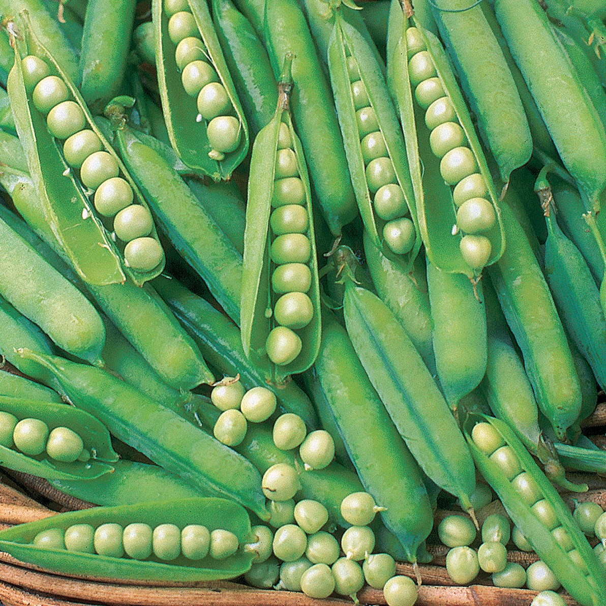 Peas, Knight Treated 1/2lb