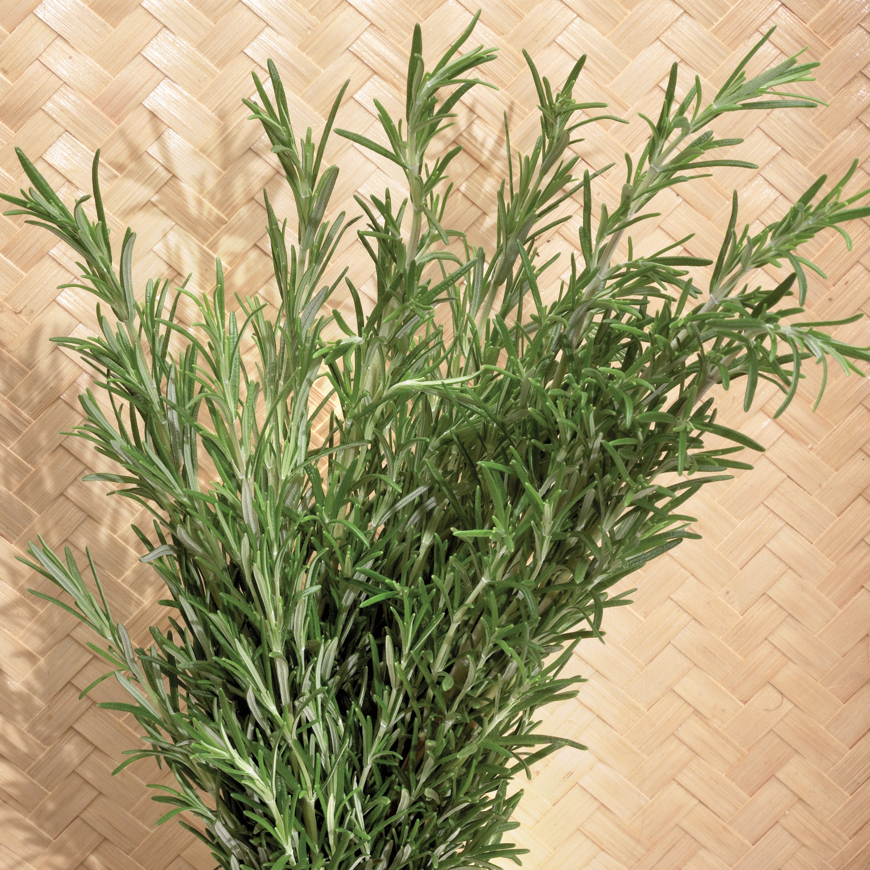 Rosemary 1/16oz