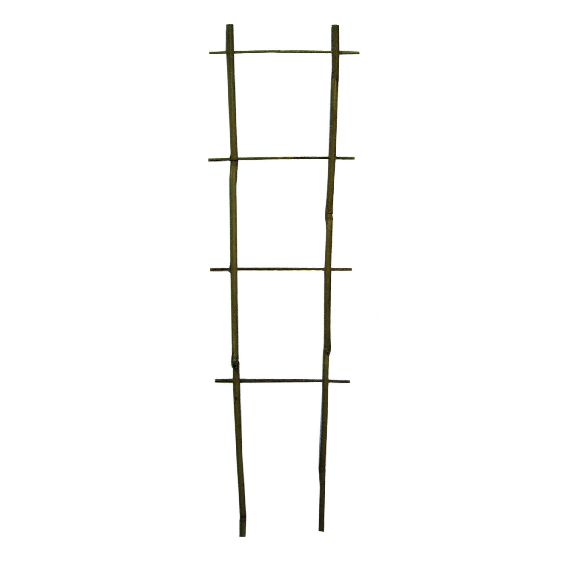 Bamboo Supply 24" Bamboo Flair Trellis 100/BD