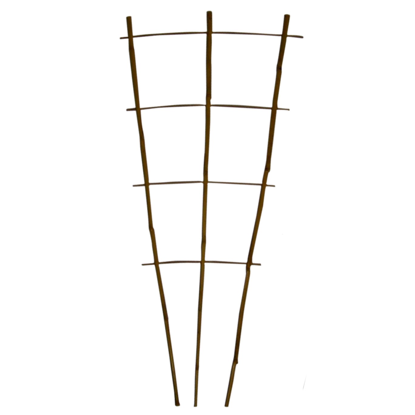 Bamboo Supply 36" Natural Bamboo Fan Trellis 50/BD