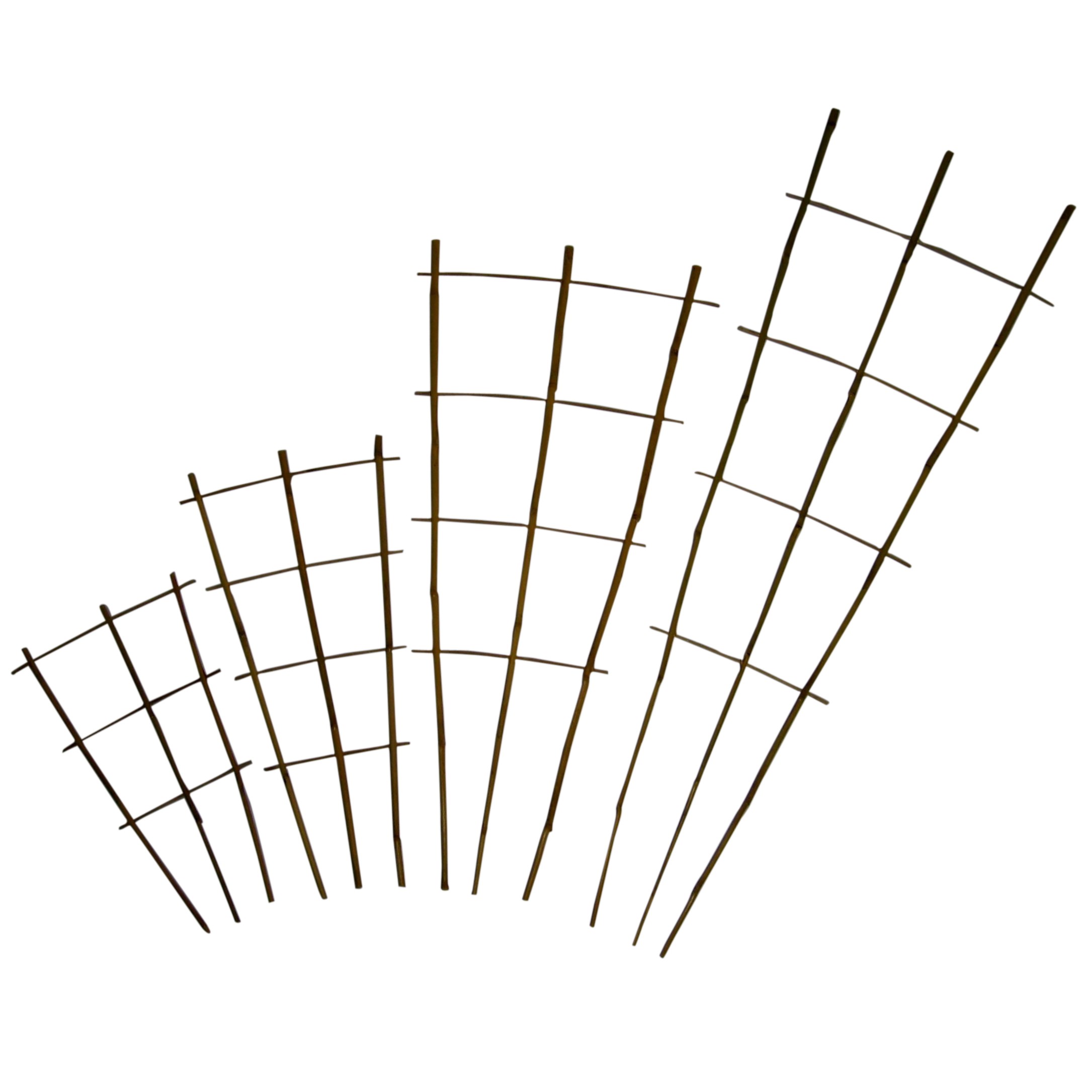 Bamboo Supply 48" Natural Bamboo Fan Trellis 50/BD