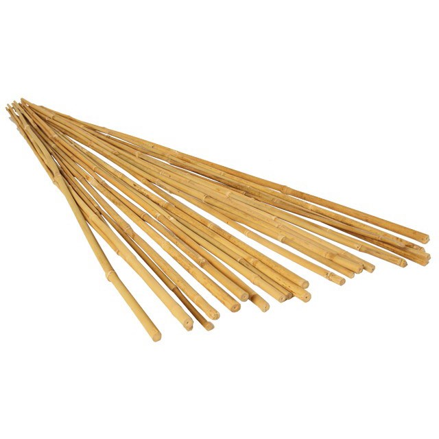 Bamboo Supply 2' Bamboo Stake 6-8mm Natural 1000/BD