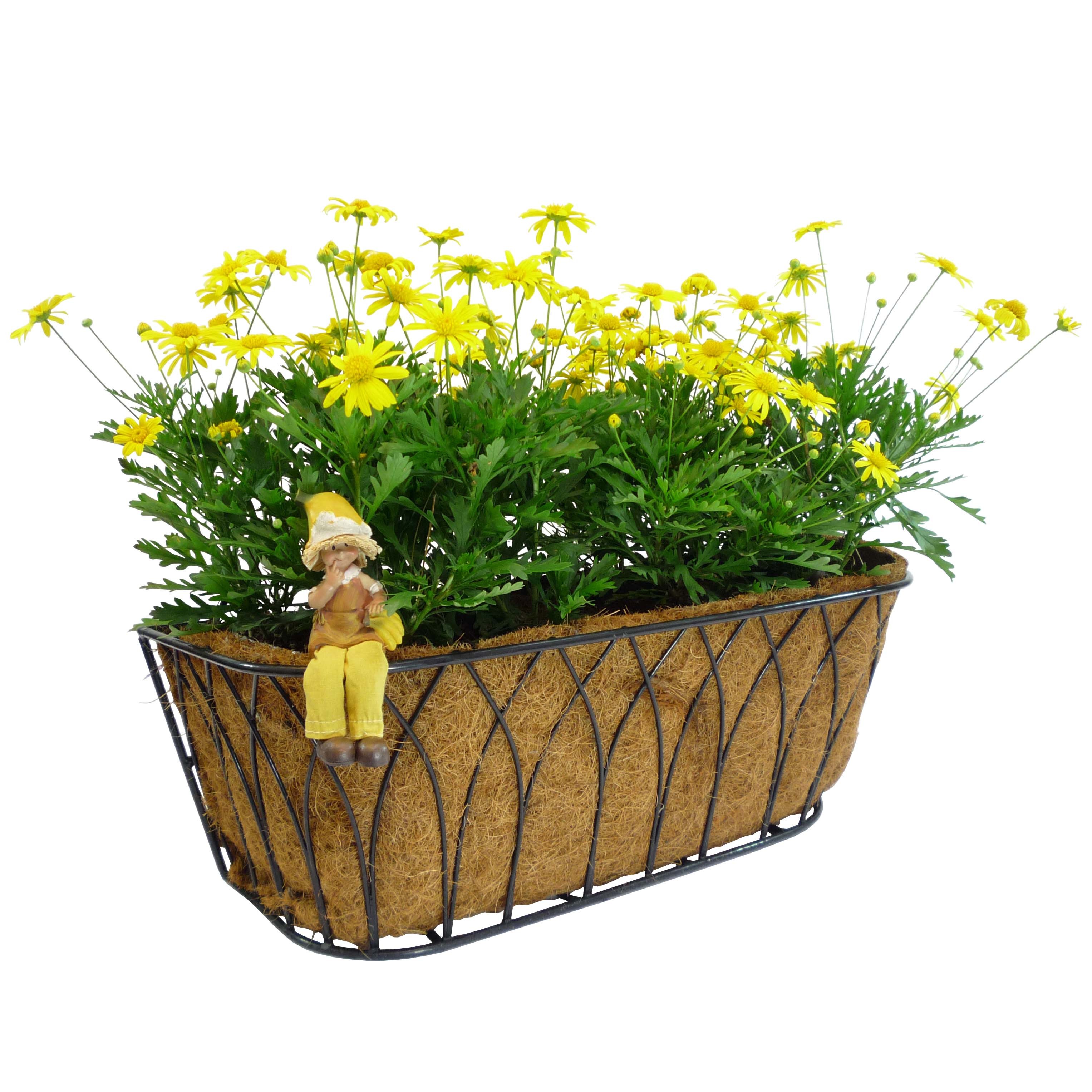 Austram 24" Lotus Trough Planter Black