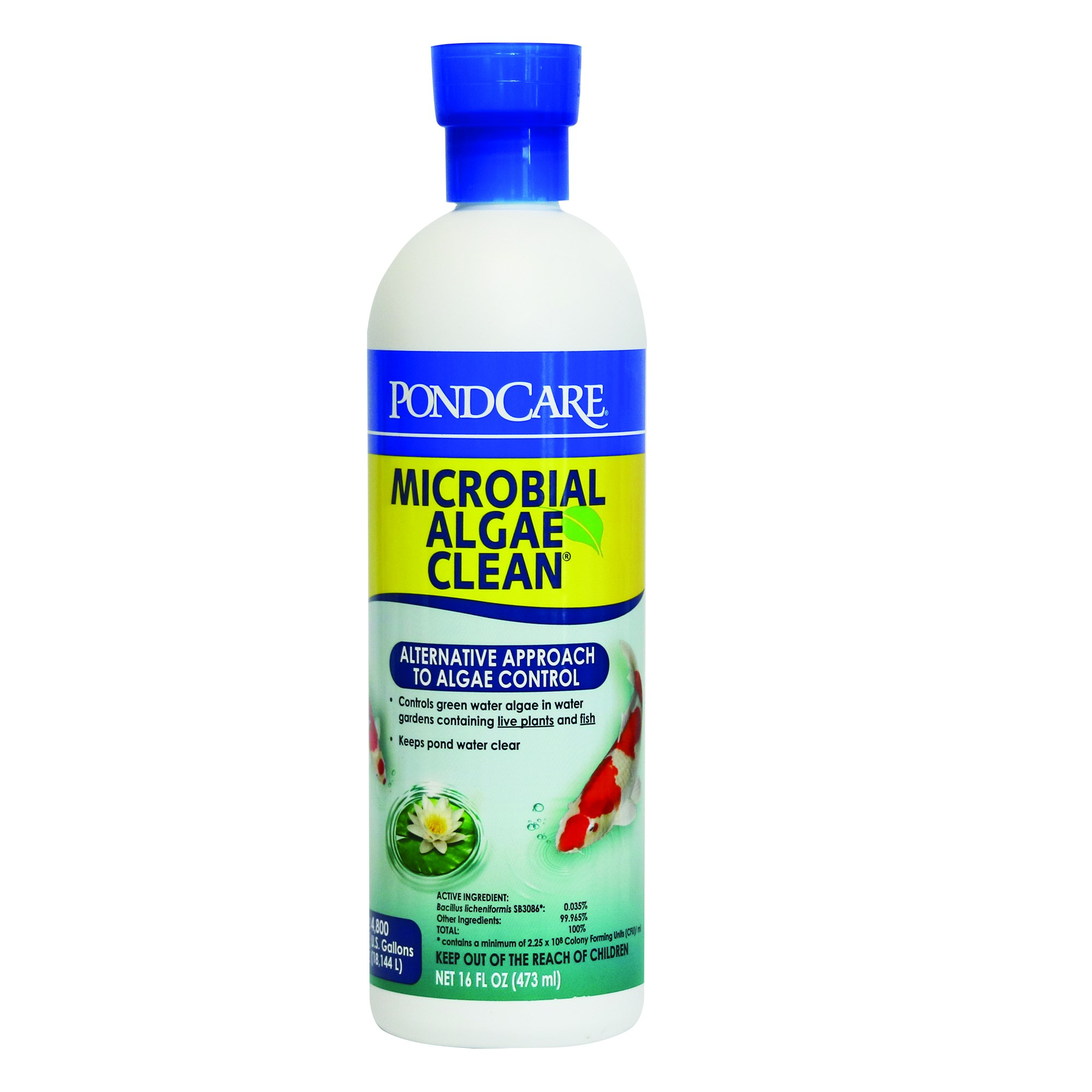 API Pond 16oz Microbial Algae Clean