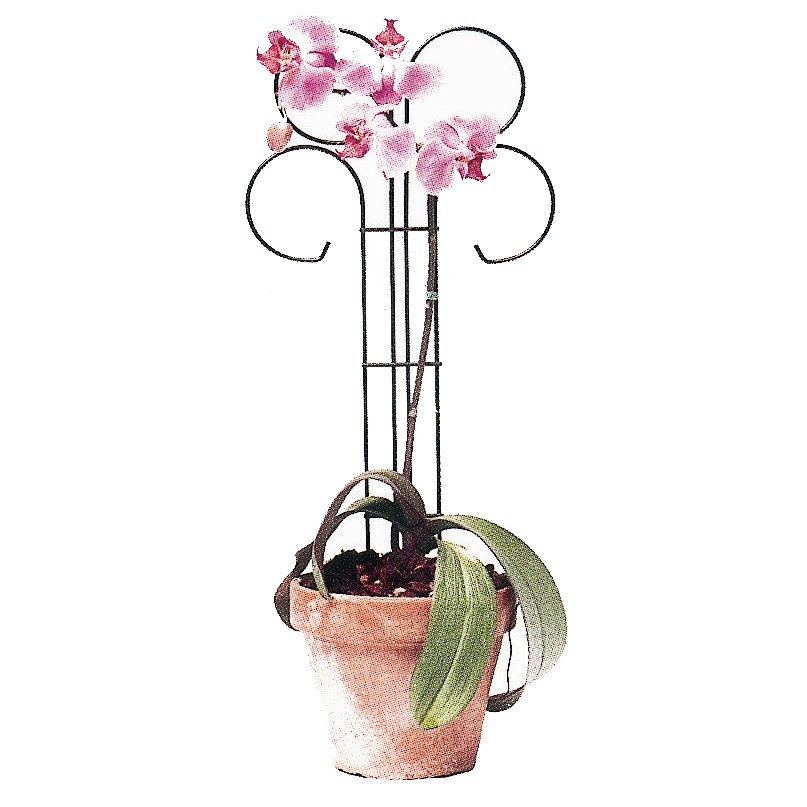 Bosmere Wren 24" Tall x 10" Wide Scroll Pot Trellis — priced per each; minimum 12; multiples of 12