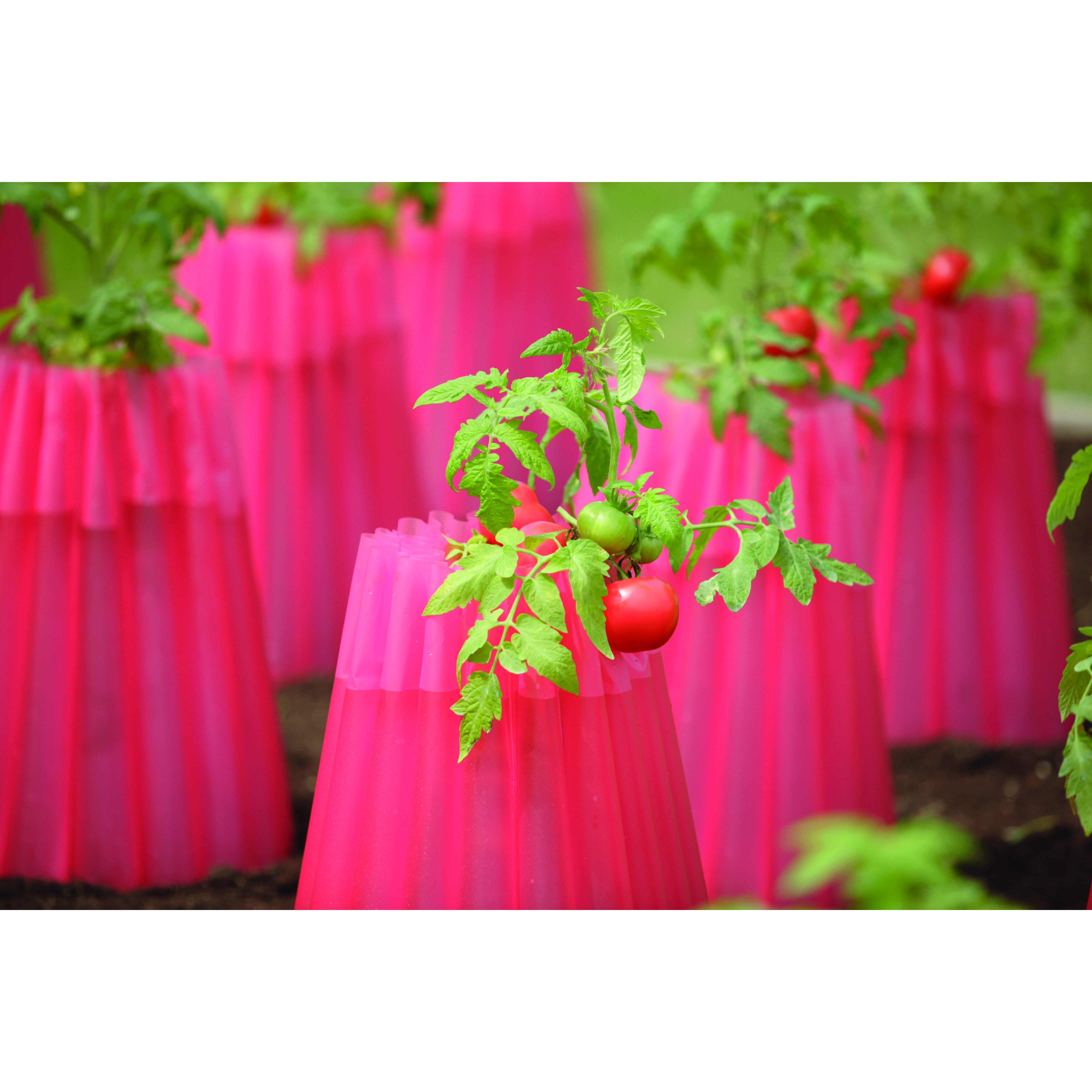 Bosmere Kozy Coats Water Filled Teepee Plant Protector 2PK