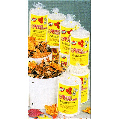 Warps 3pk 9x12" Rose Collar White