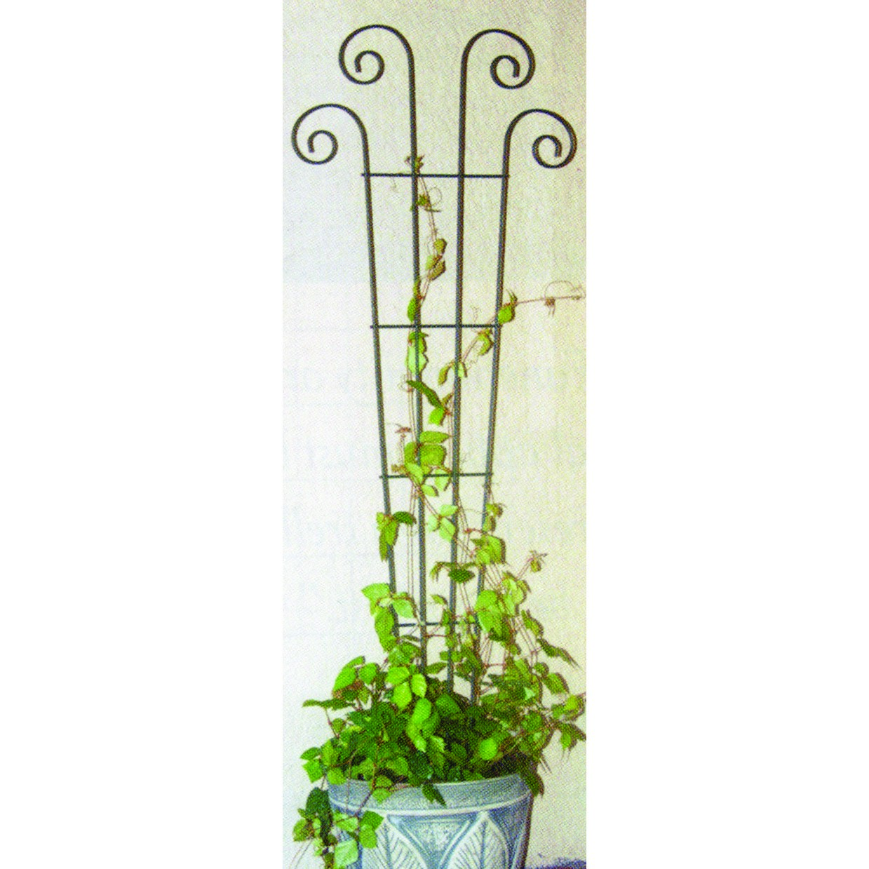 Panacea 48" Green Wave Pot Trellis — priced per each; minimum 10; multiples of 10