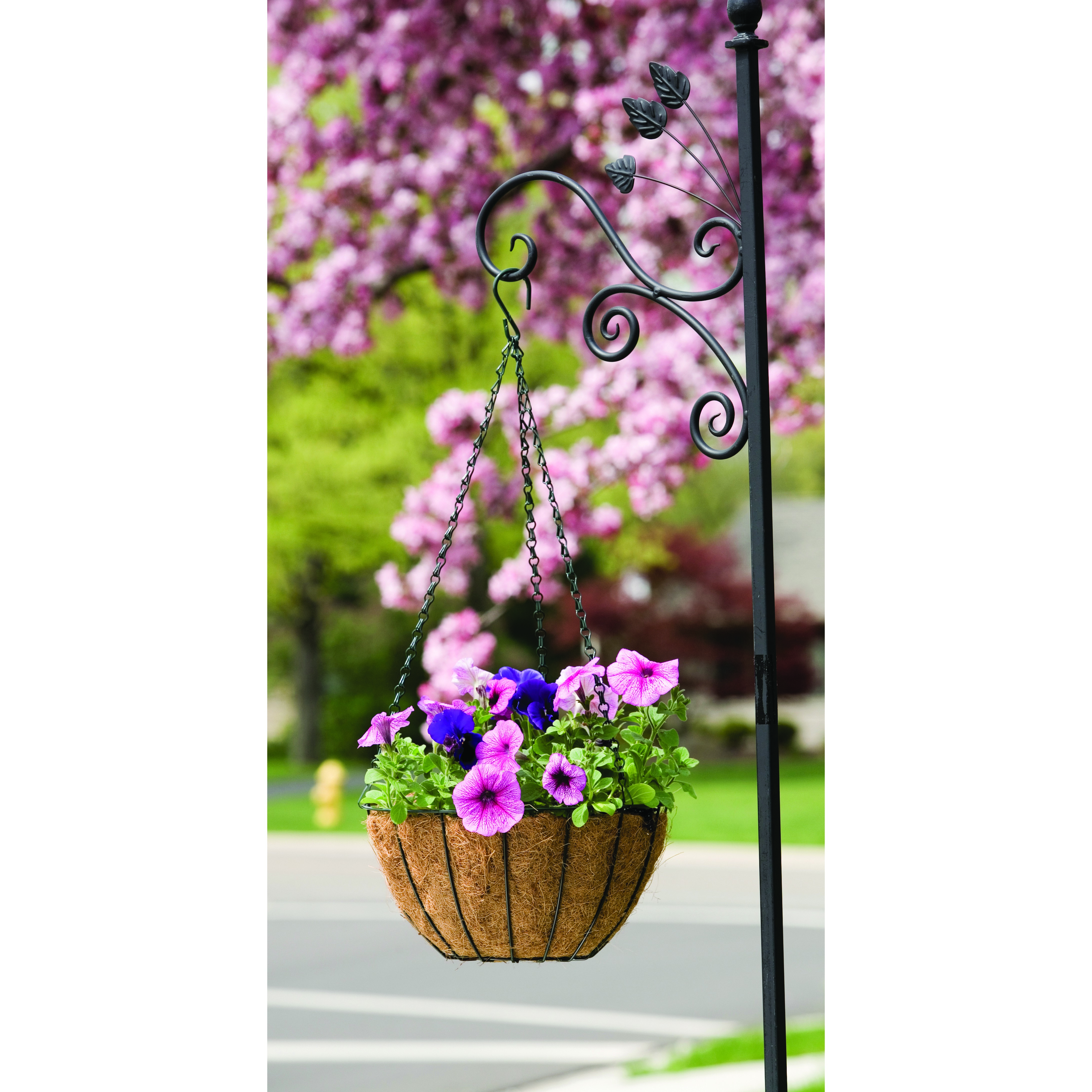 Panacea 12" Hanging Basket Growers Green — priced per each; minimum 12; multiples of 12