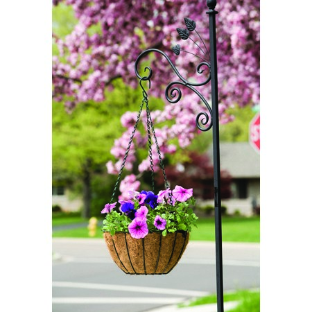 Panacea 16" Hanging Basket GR Growers — priced per each; minimum 12; multiples of 12