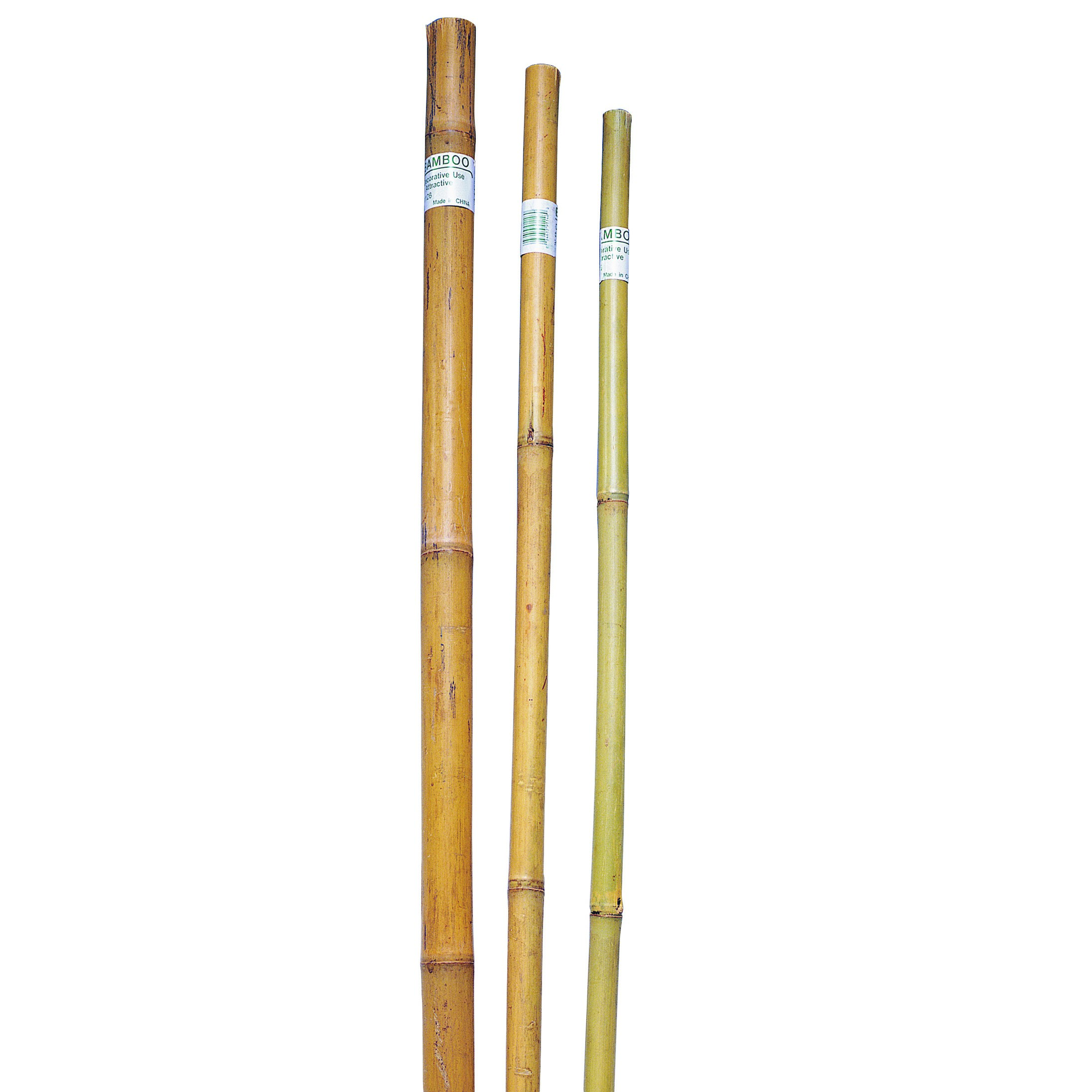 Product | BFG Supply