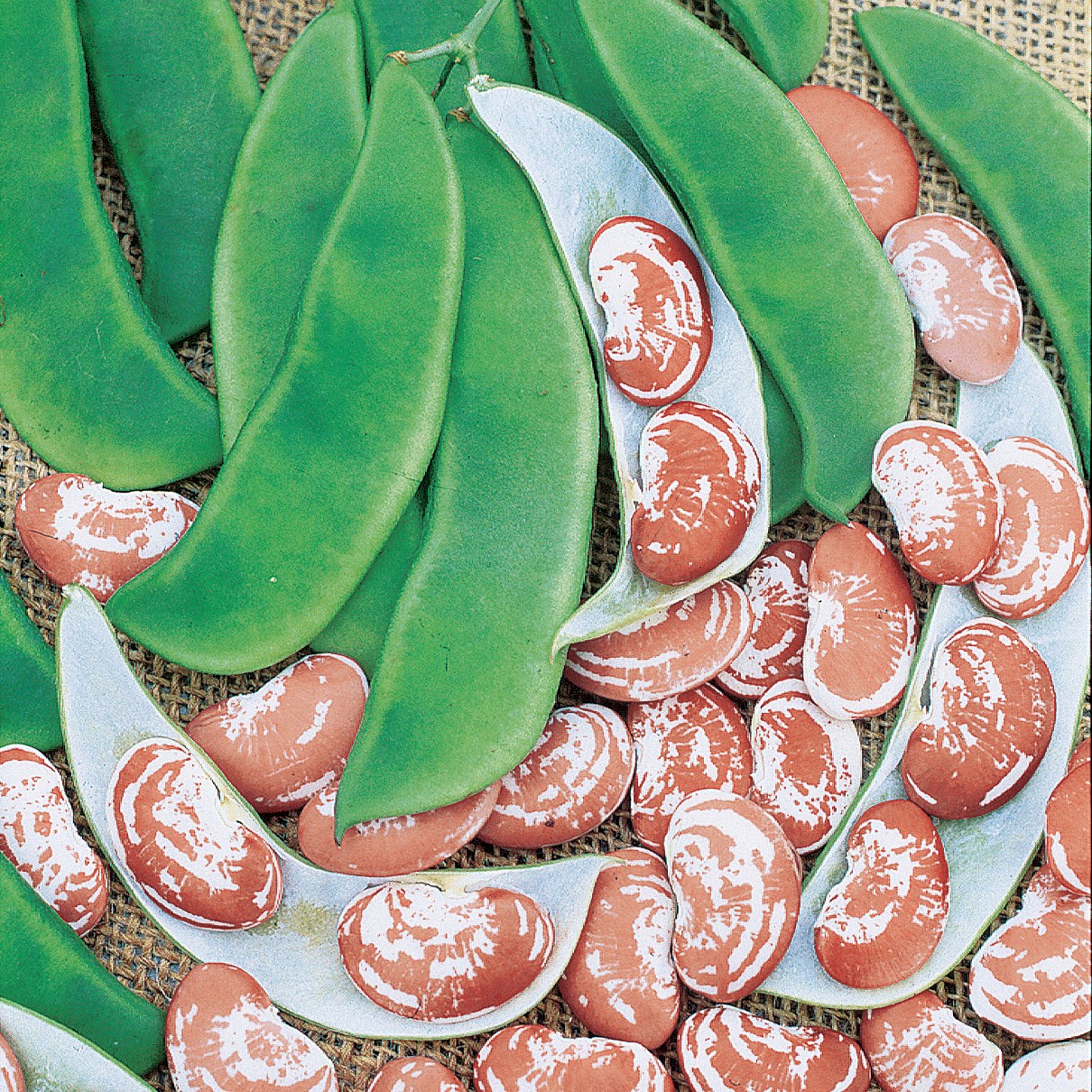 Limas, Jackson Wonder 1/2lb