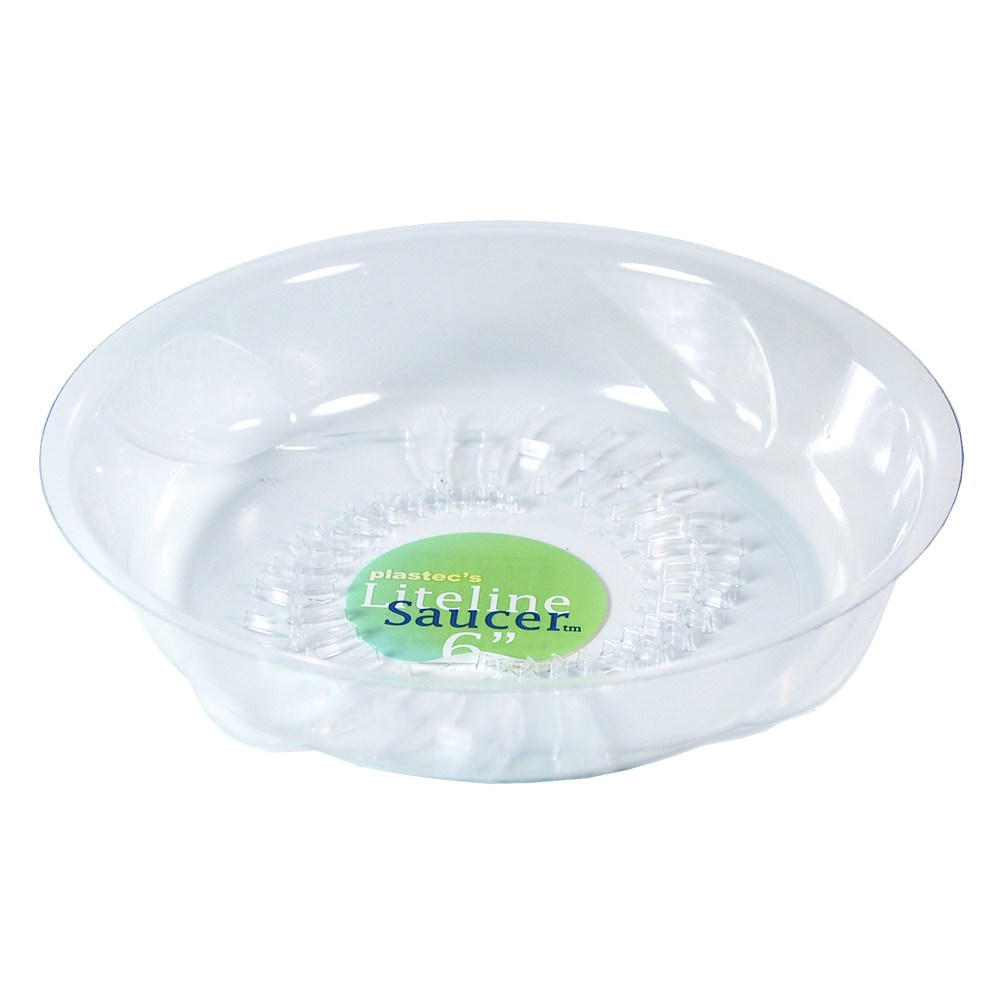 Plastec 6" Liteline Saucer — priced per each; minimum 50; multiples of 50