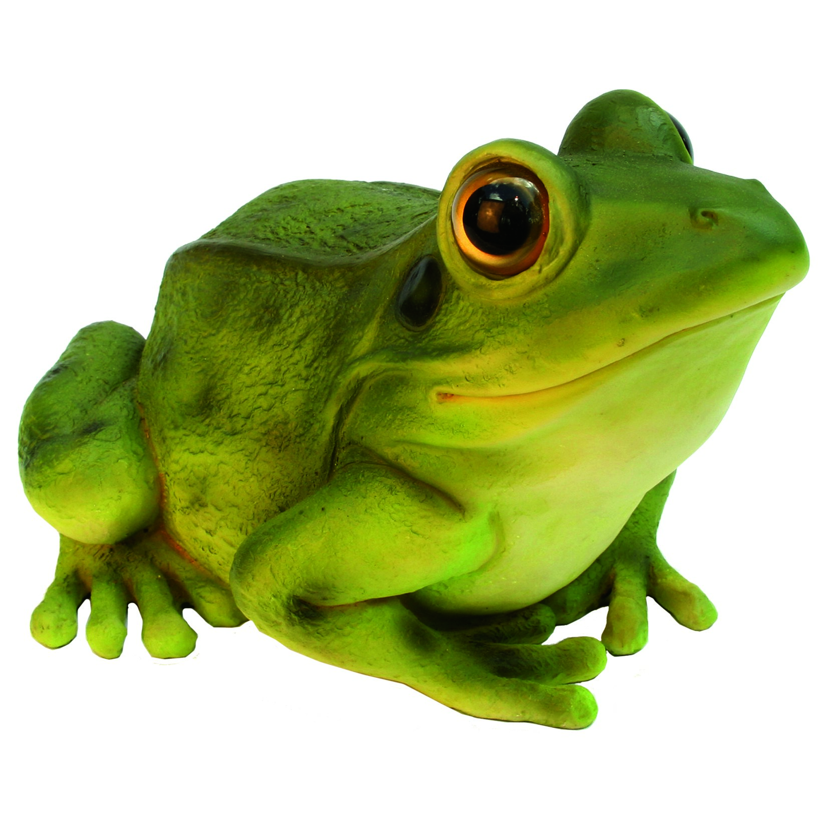 MCarr Frog — priced per each; minimum 4; multiples of 4