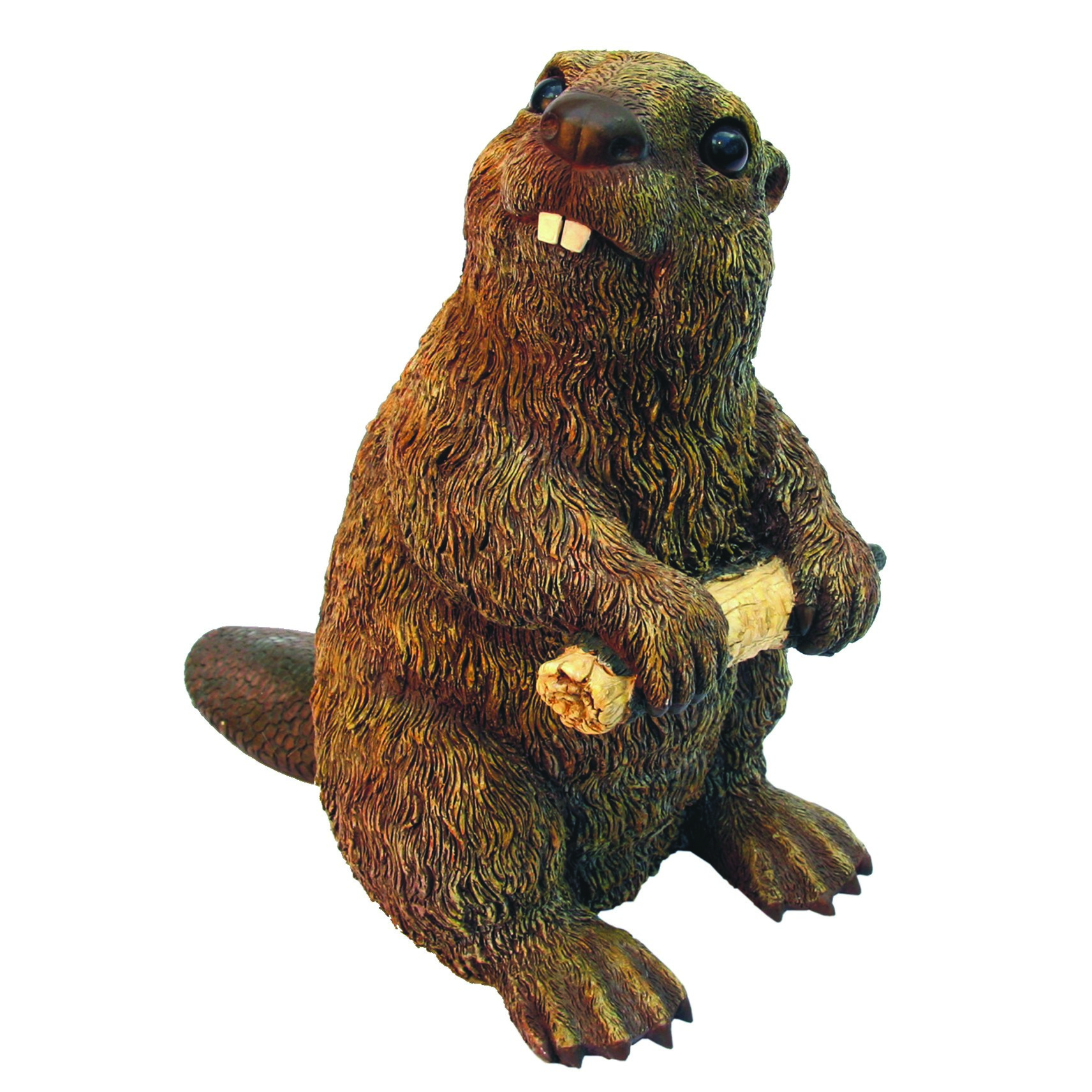 MCarr Beaver Medium