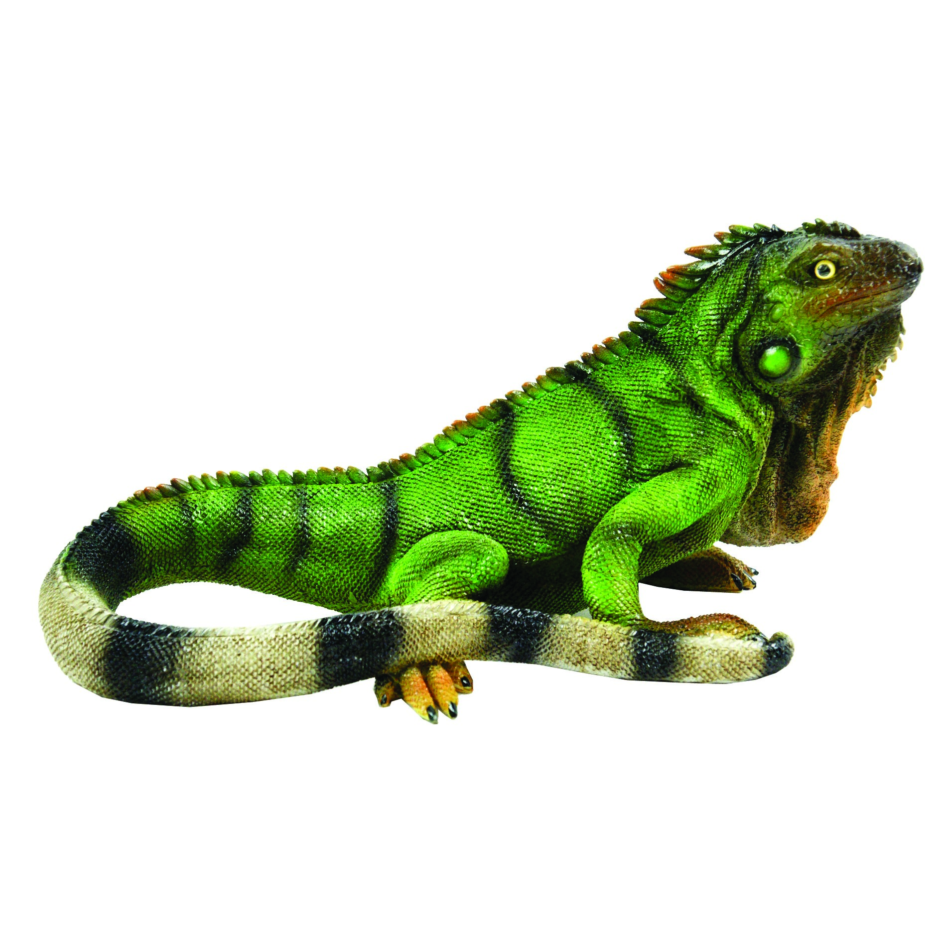MCarr Iguana Medium — priced per each; minimum 6; multiples of 6