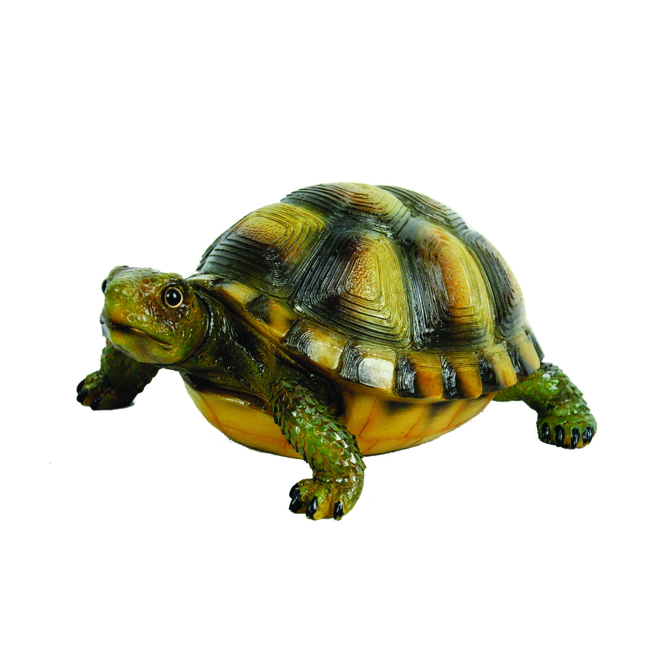 MCarr Desert Turtle — priced per each; minimum 6; multiples of 6